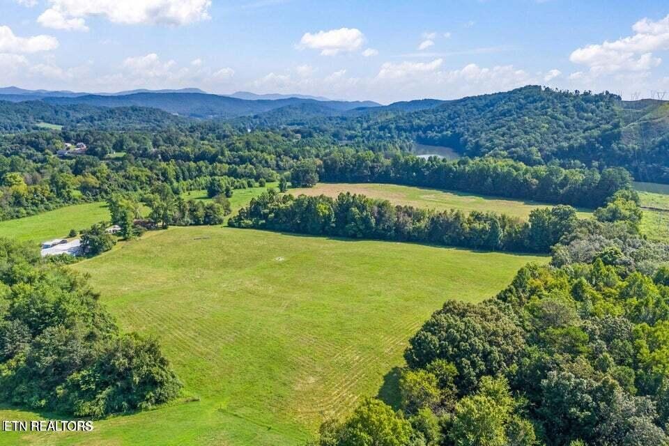 786 Swan Pond Circle Rd