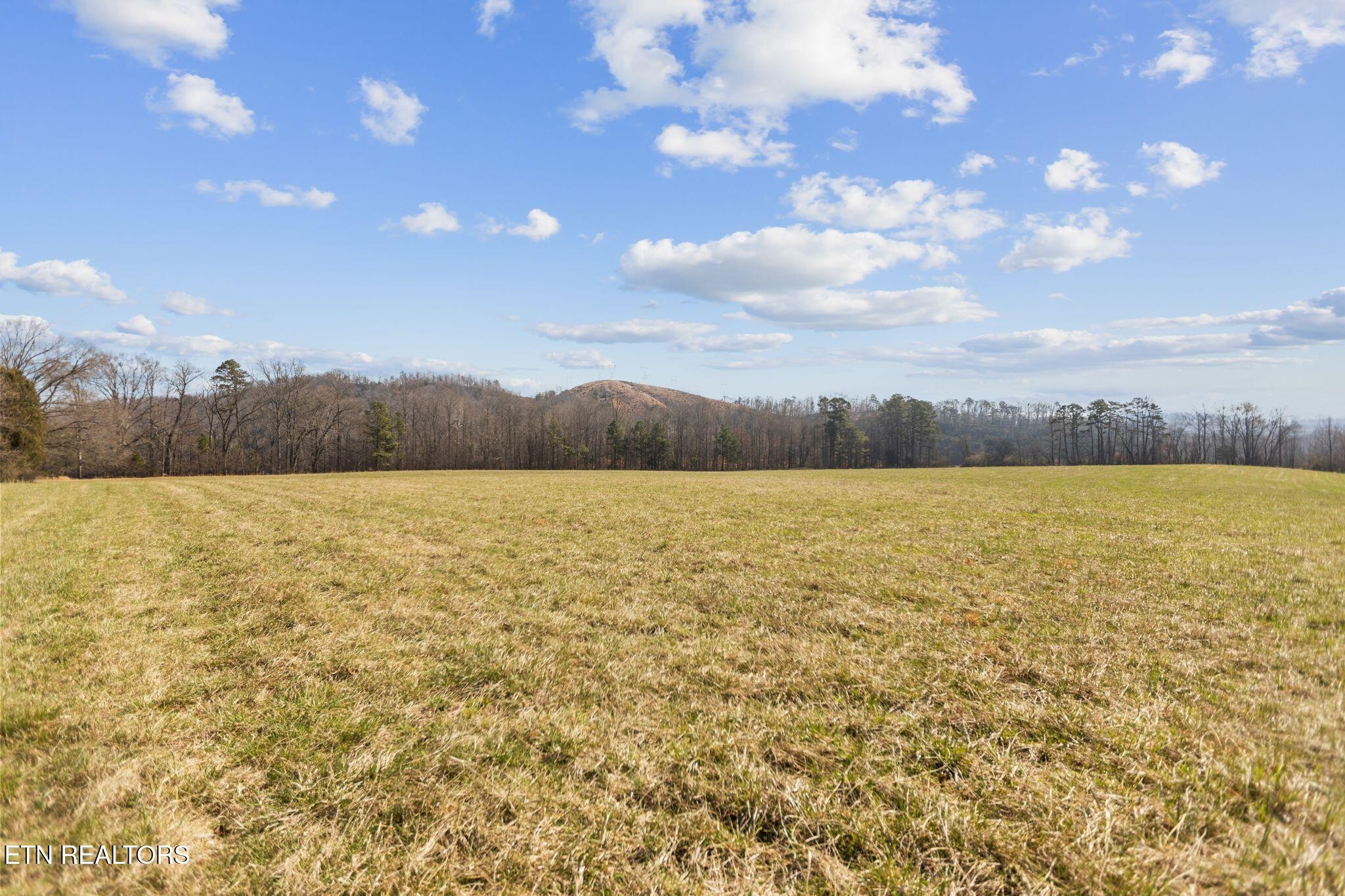 786 Swan Pond Circle Rd