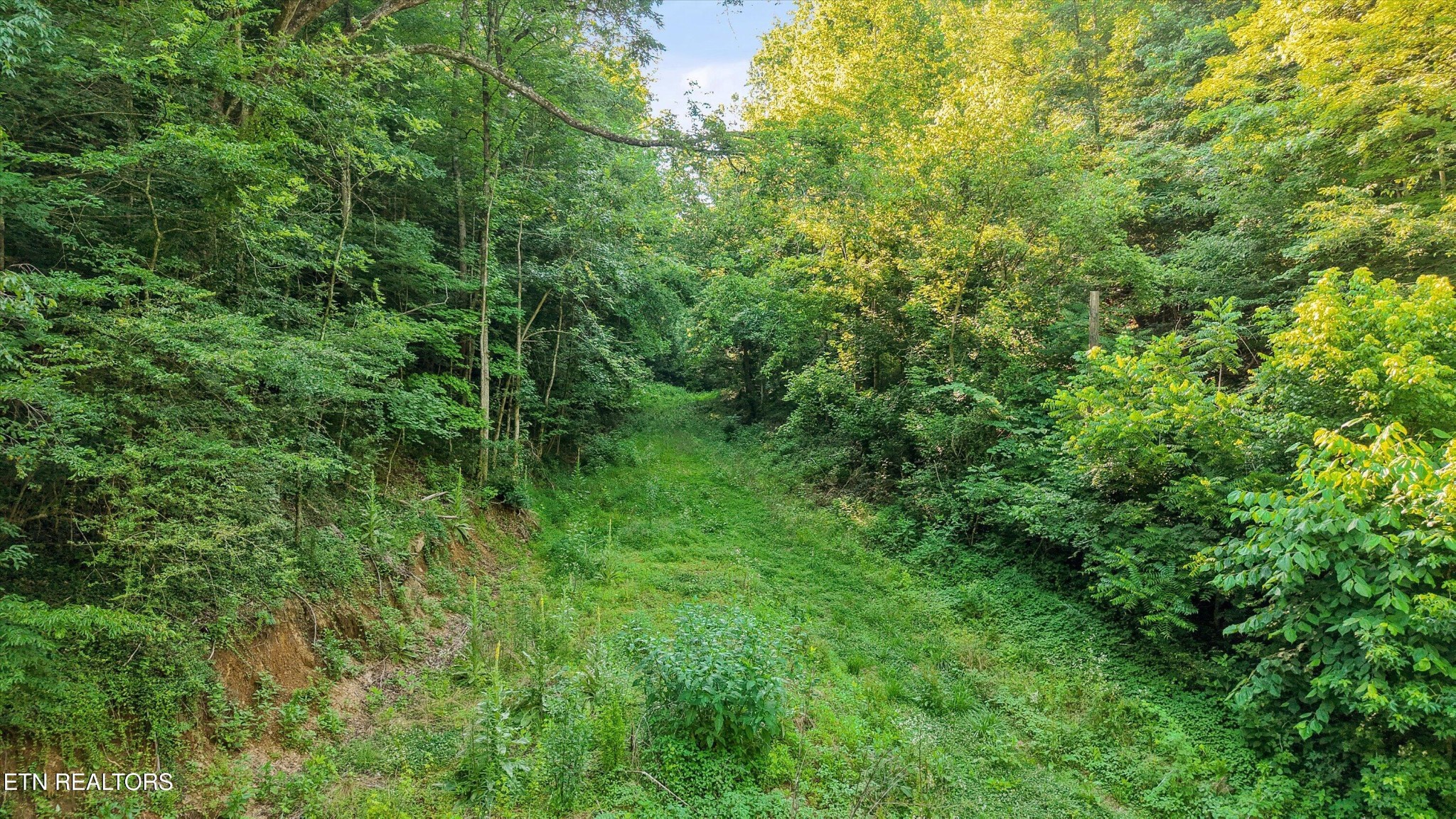 1717 Long Branch Rd