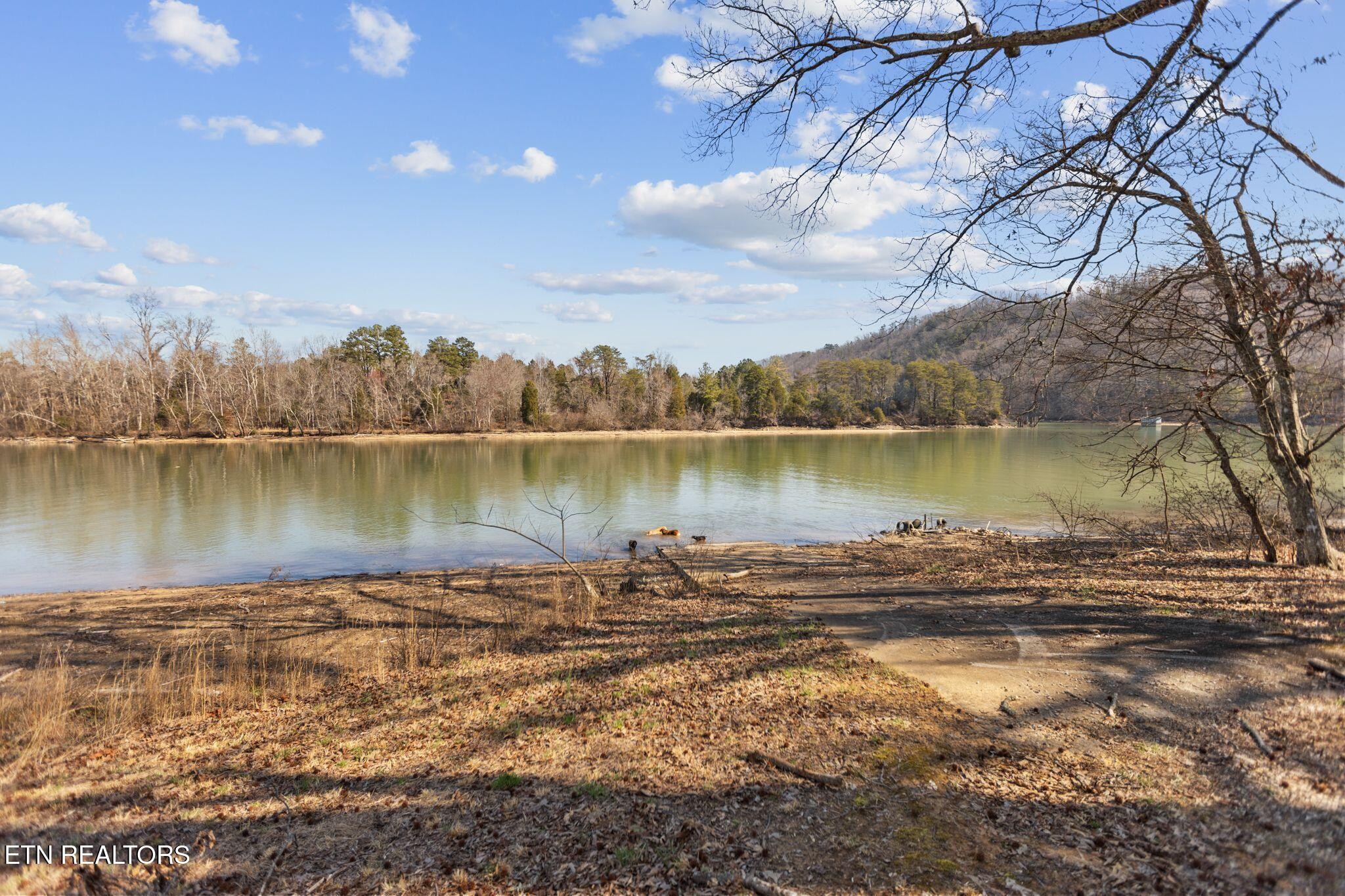 2718 Swan Pond Circle Rd