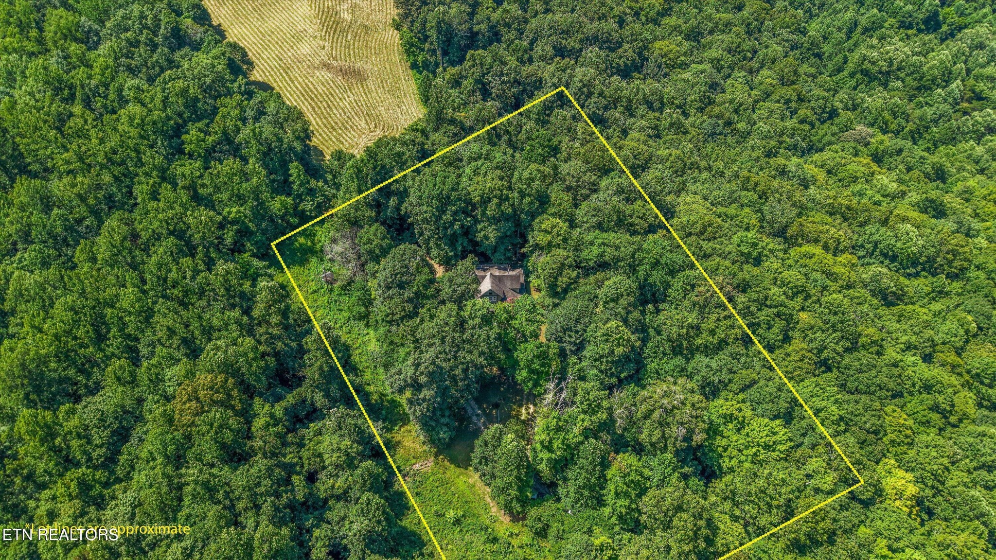 400 Cabbage Cemetery Rd