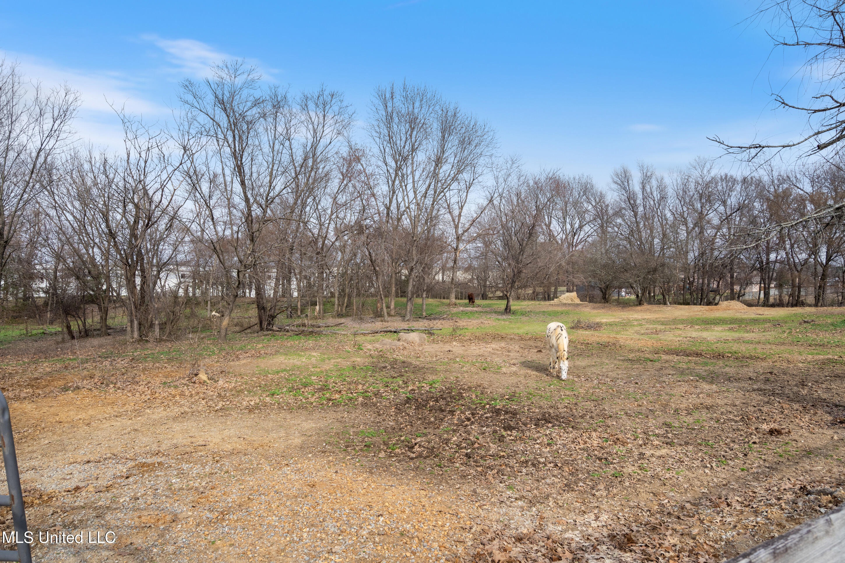 9142 Mineral Wells Road