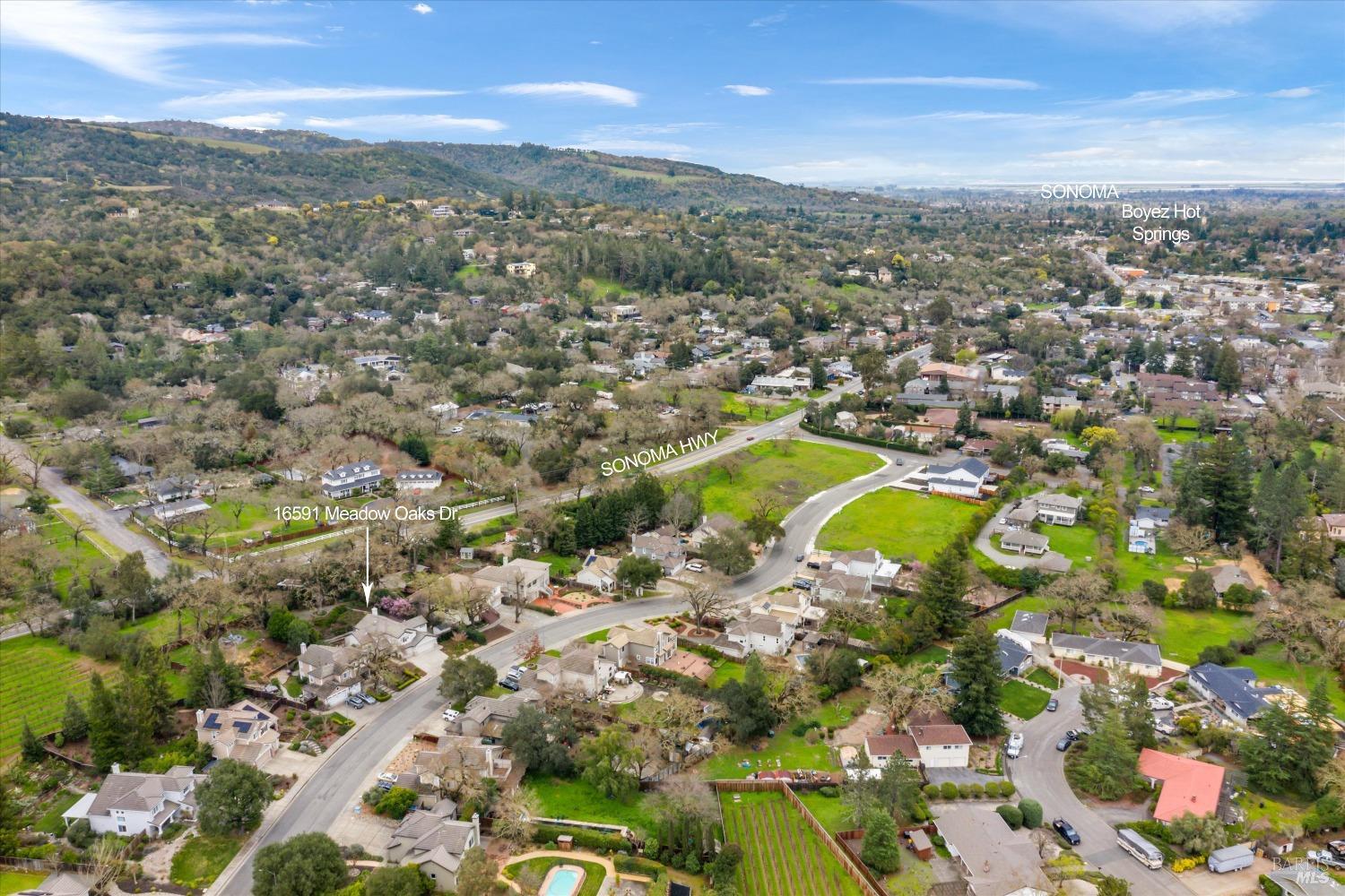 16591 Meadow Oaks Dr