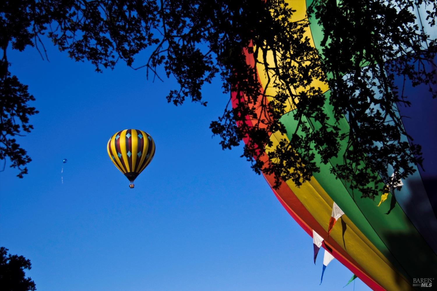 16591 Meadow Oaks Dr