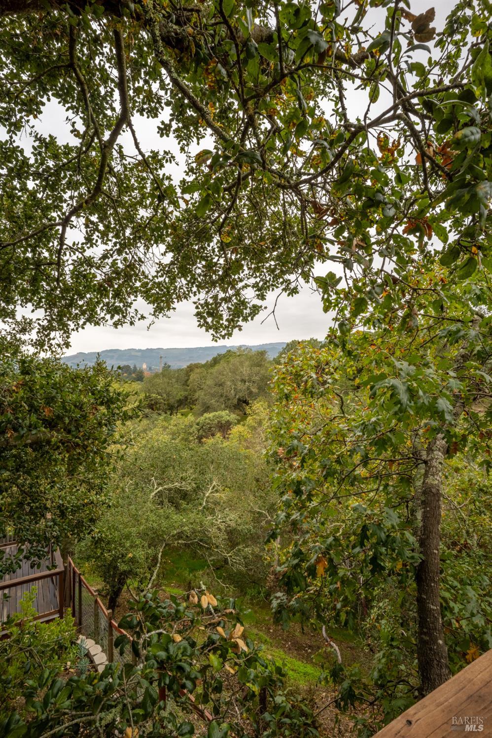 1205 Calle Del Arroyo Rd