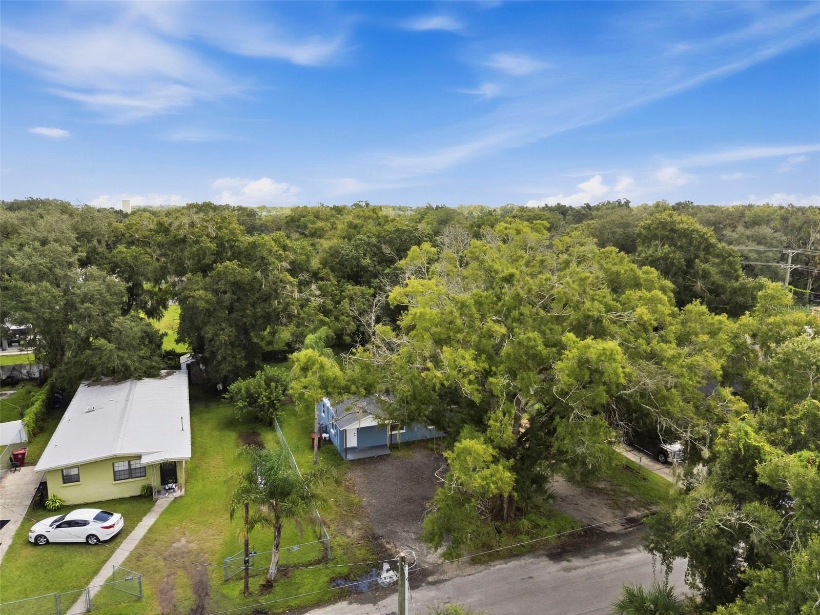 Aerial view of a blue house partly hidden by mature trees, with its yard and neighboring homes visible.