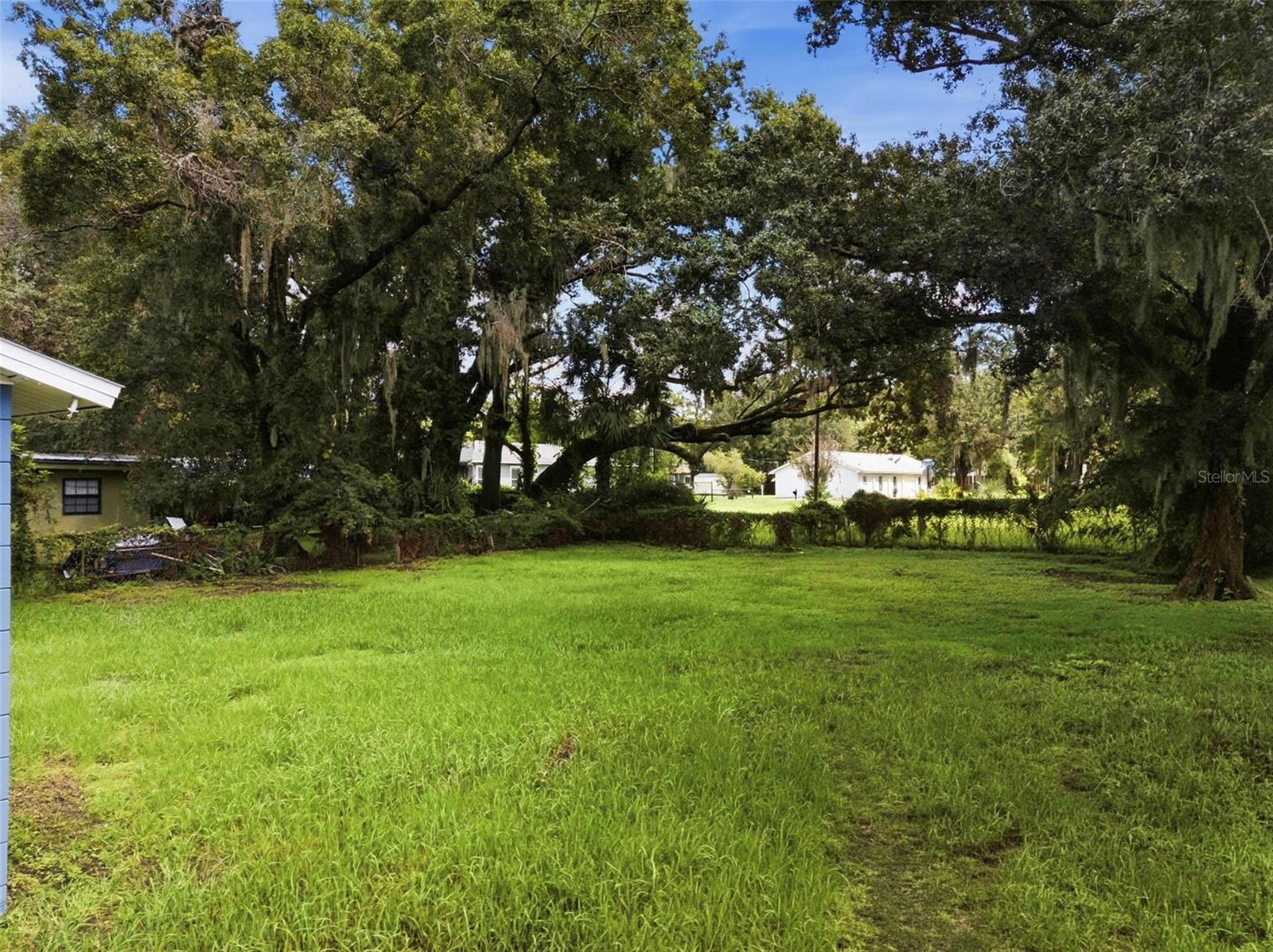 Grassy property lot beneath large moss-draped shade trees, with neighboring homes in the background.