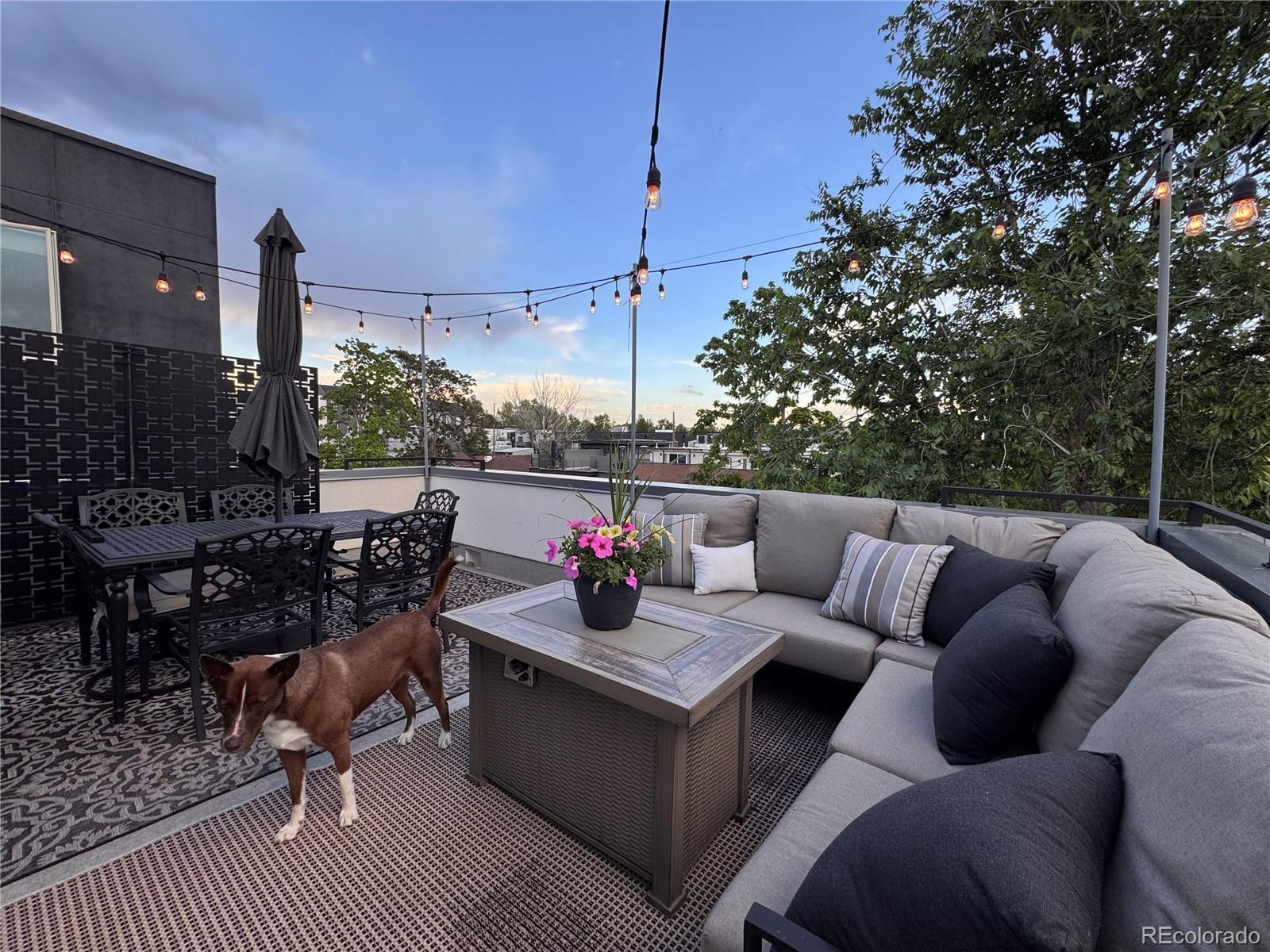 1227 Osceola Street