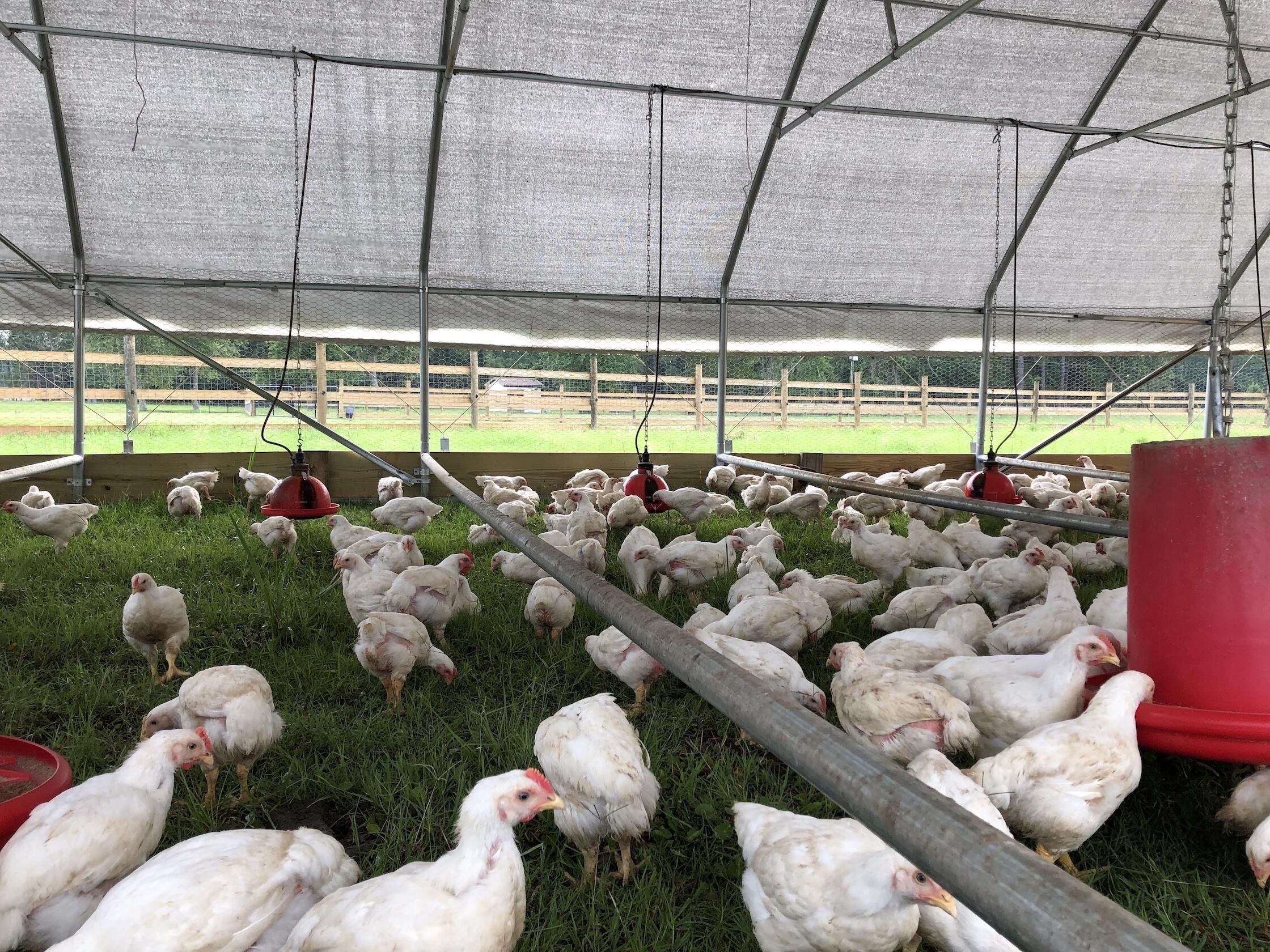 10970 Hwy 17, McClellanville