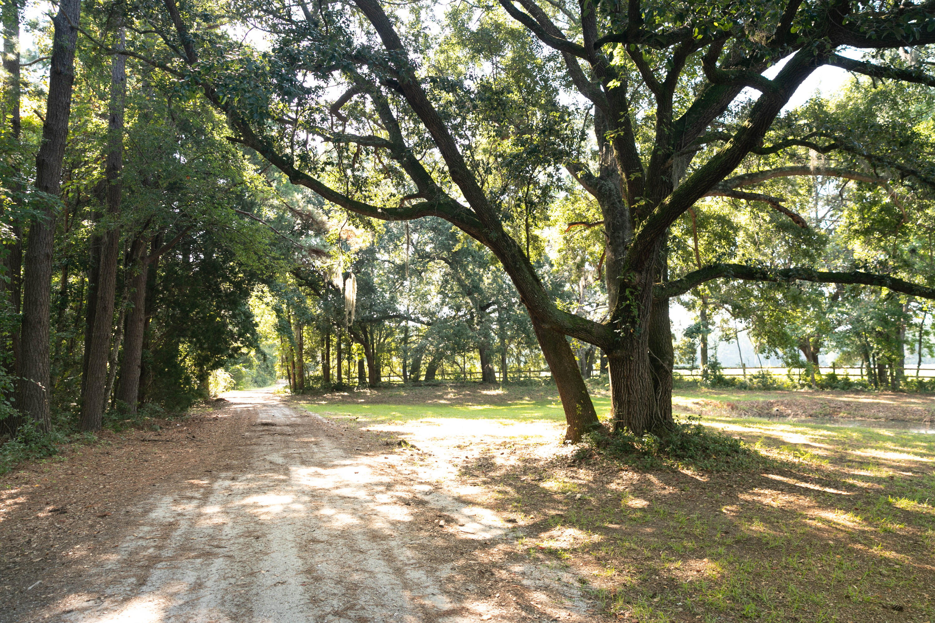 10970 Hwy 17, McClellanville