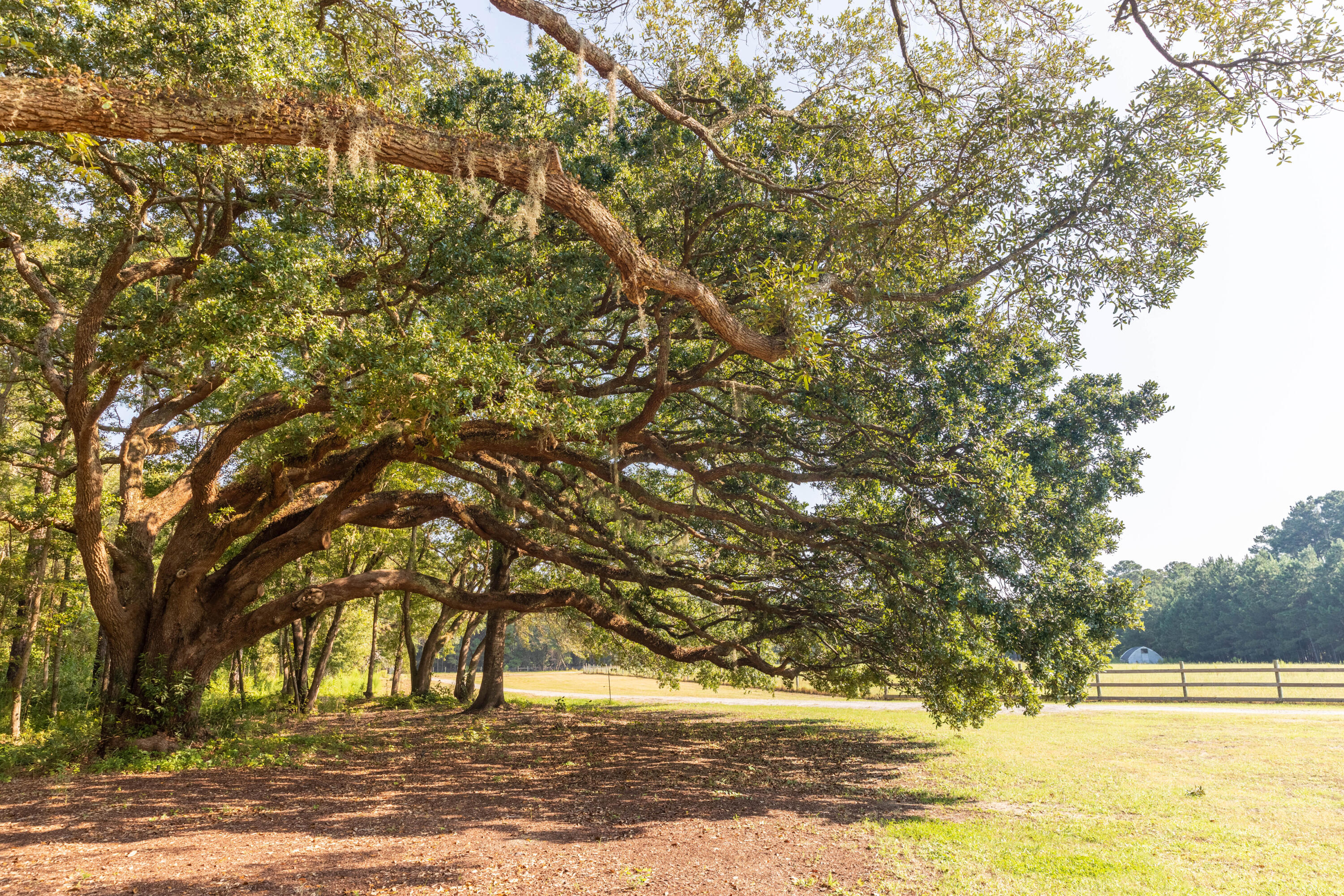 10970 Hwy 17, McClellanville