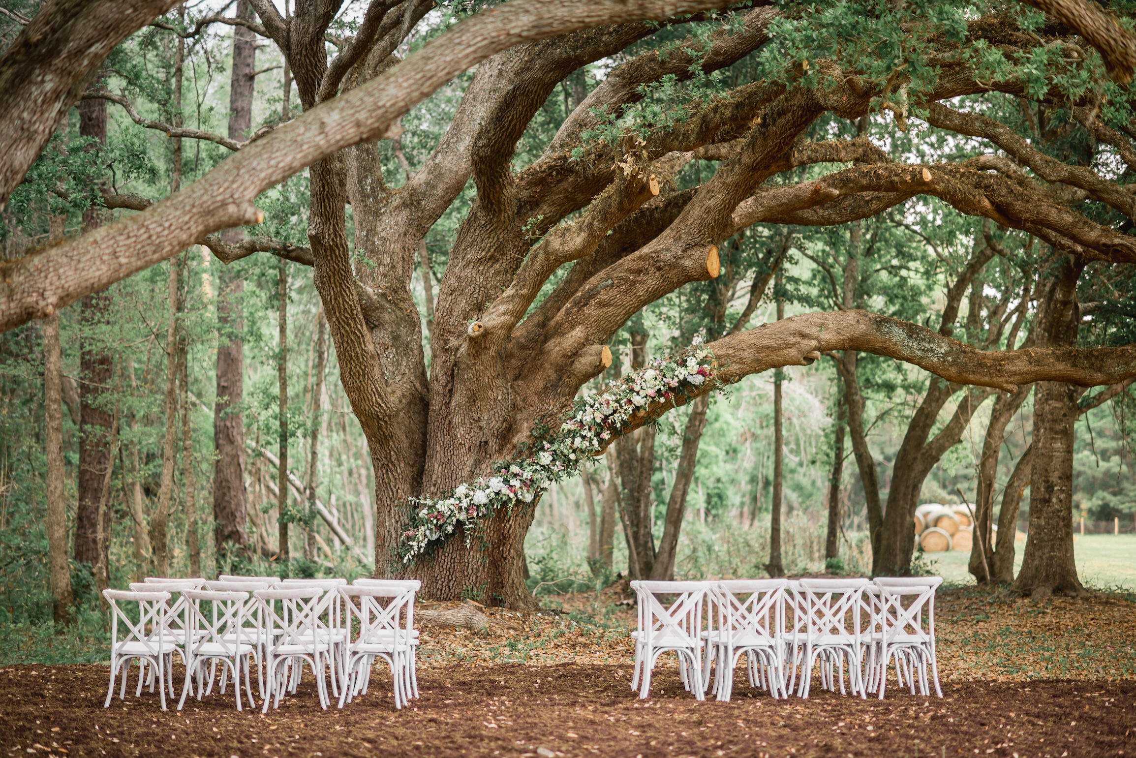 10970 Hwy 17, McClellanville