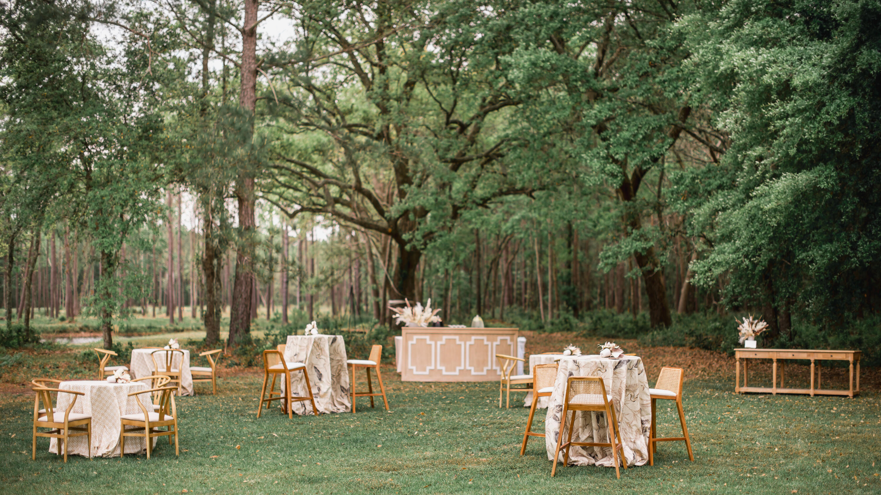 10970 Hwy 17, McClellanville