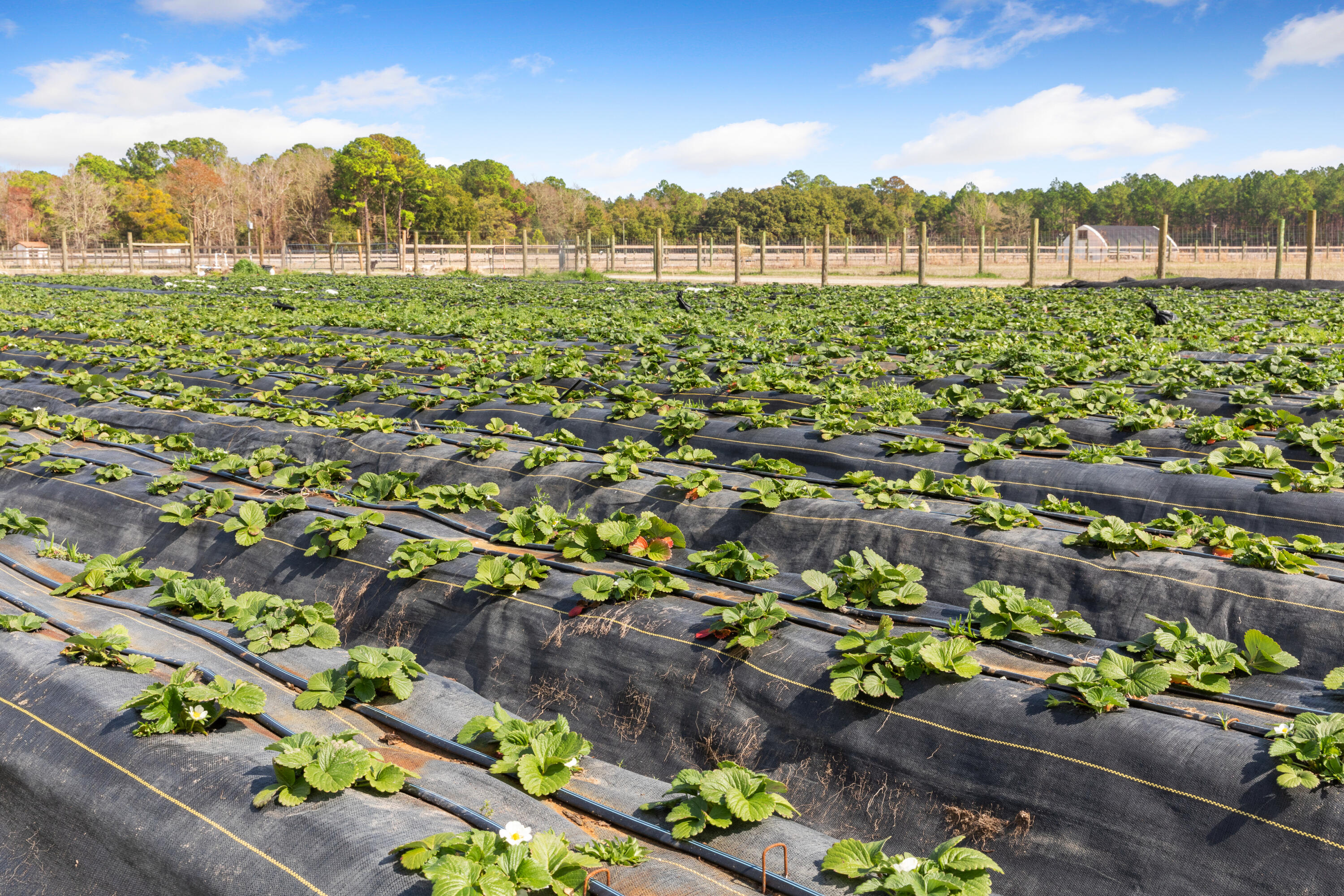 10970 Hwy 17, McClellanville