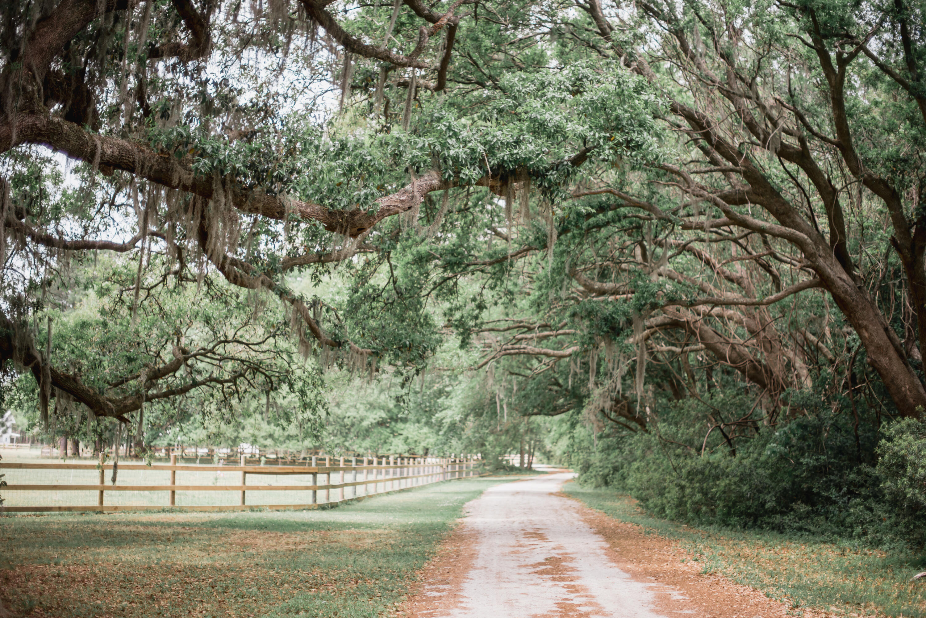 10970 Hwy 17, McClellanville