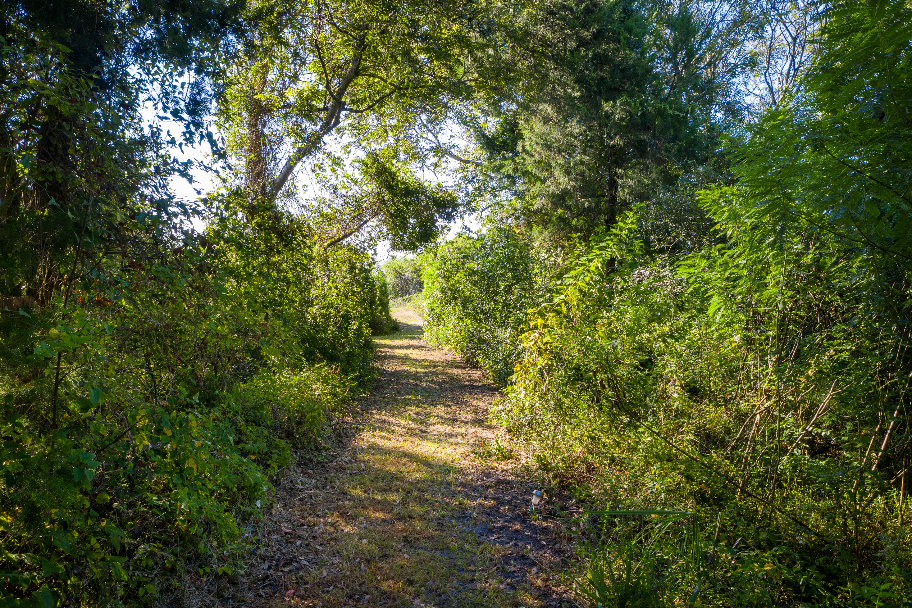 1763 Atlantic Avenue