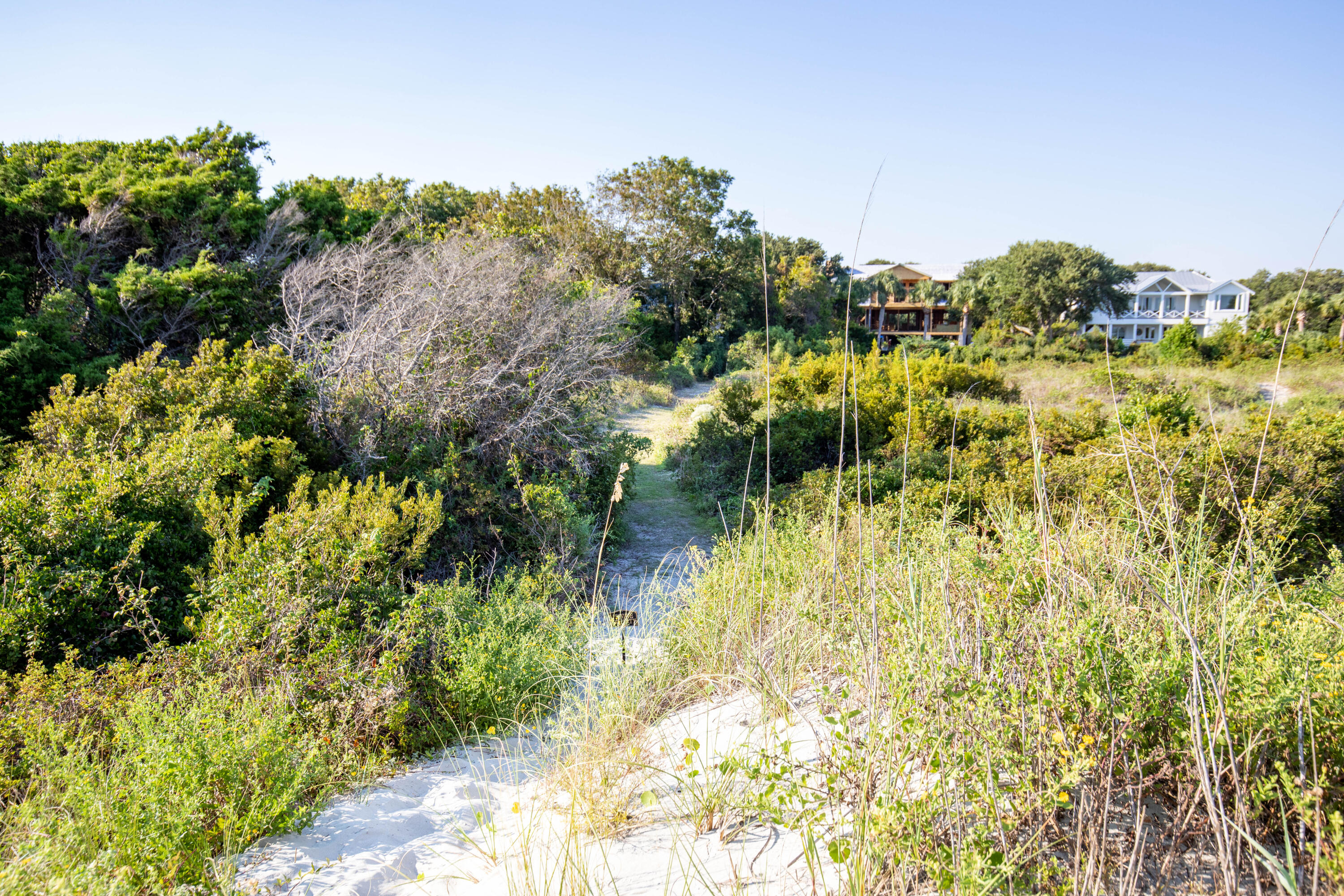 1763 Atlantic Avenue