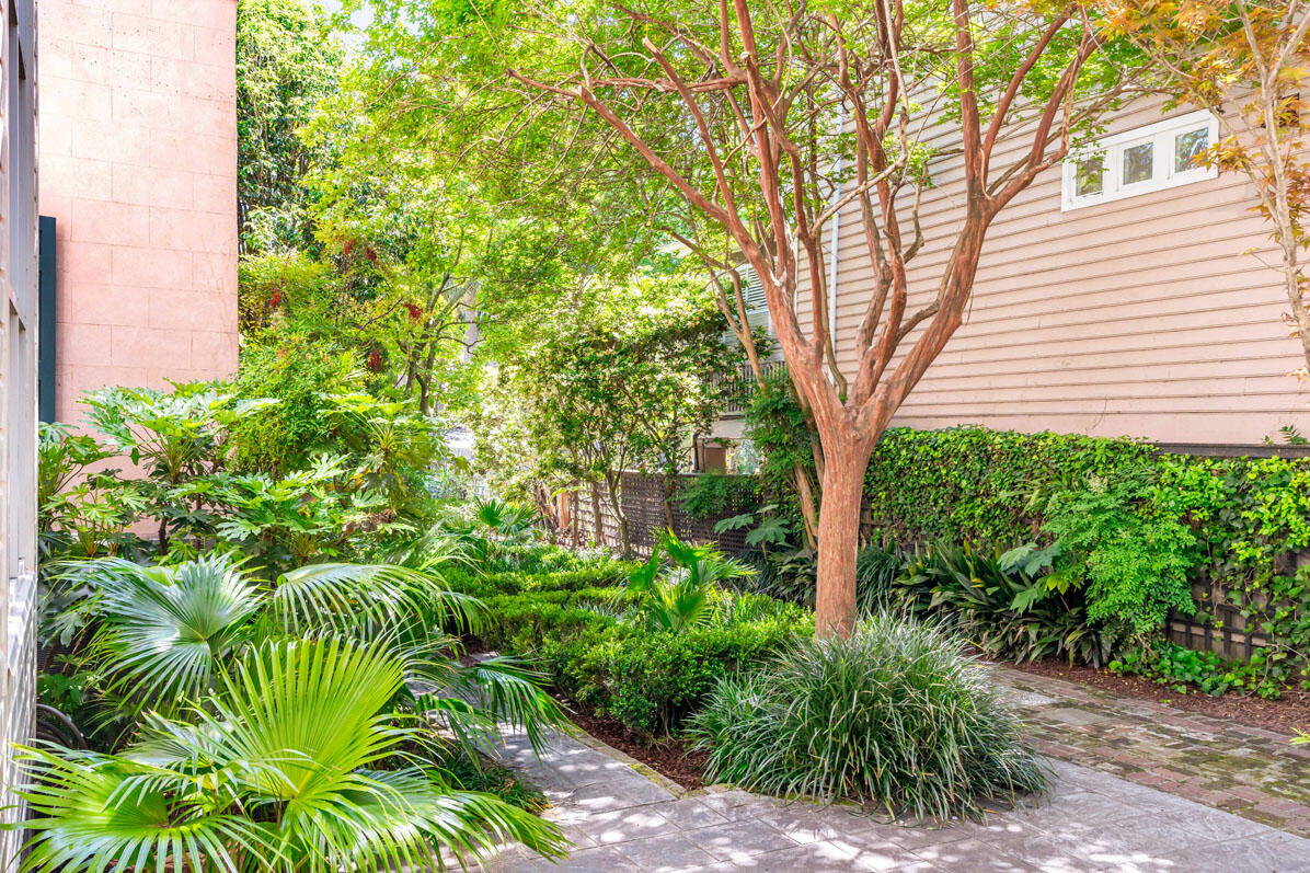 11 Montagu Street