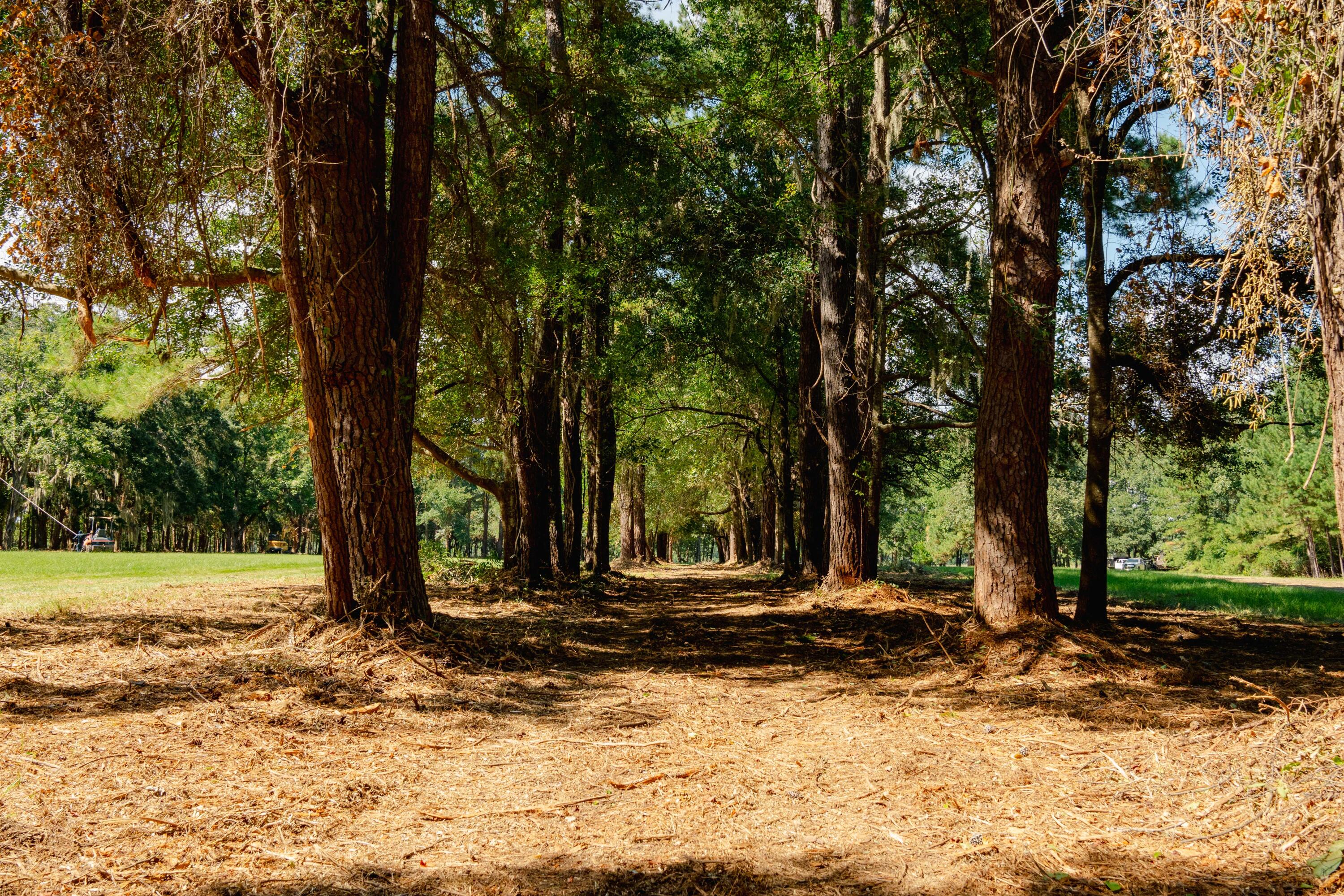0 Hoopstick Island Road Lot 3