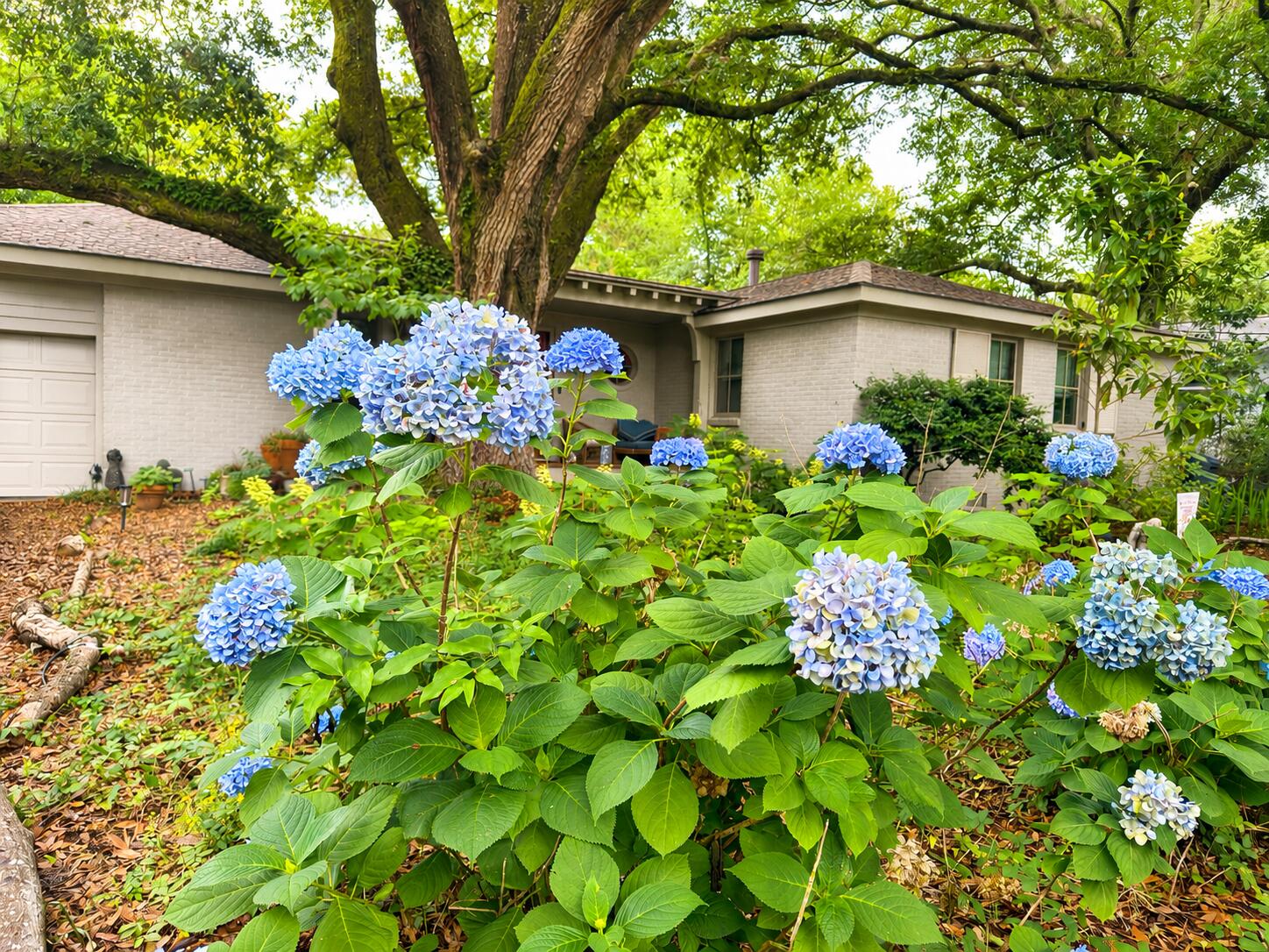 971 Cliffwood Drive