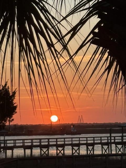 309 Palm Boulevard