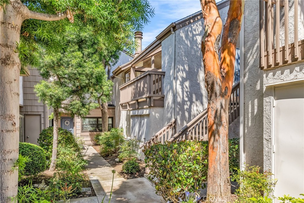 26701 Quail 61