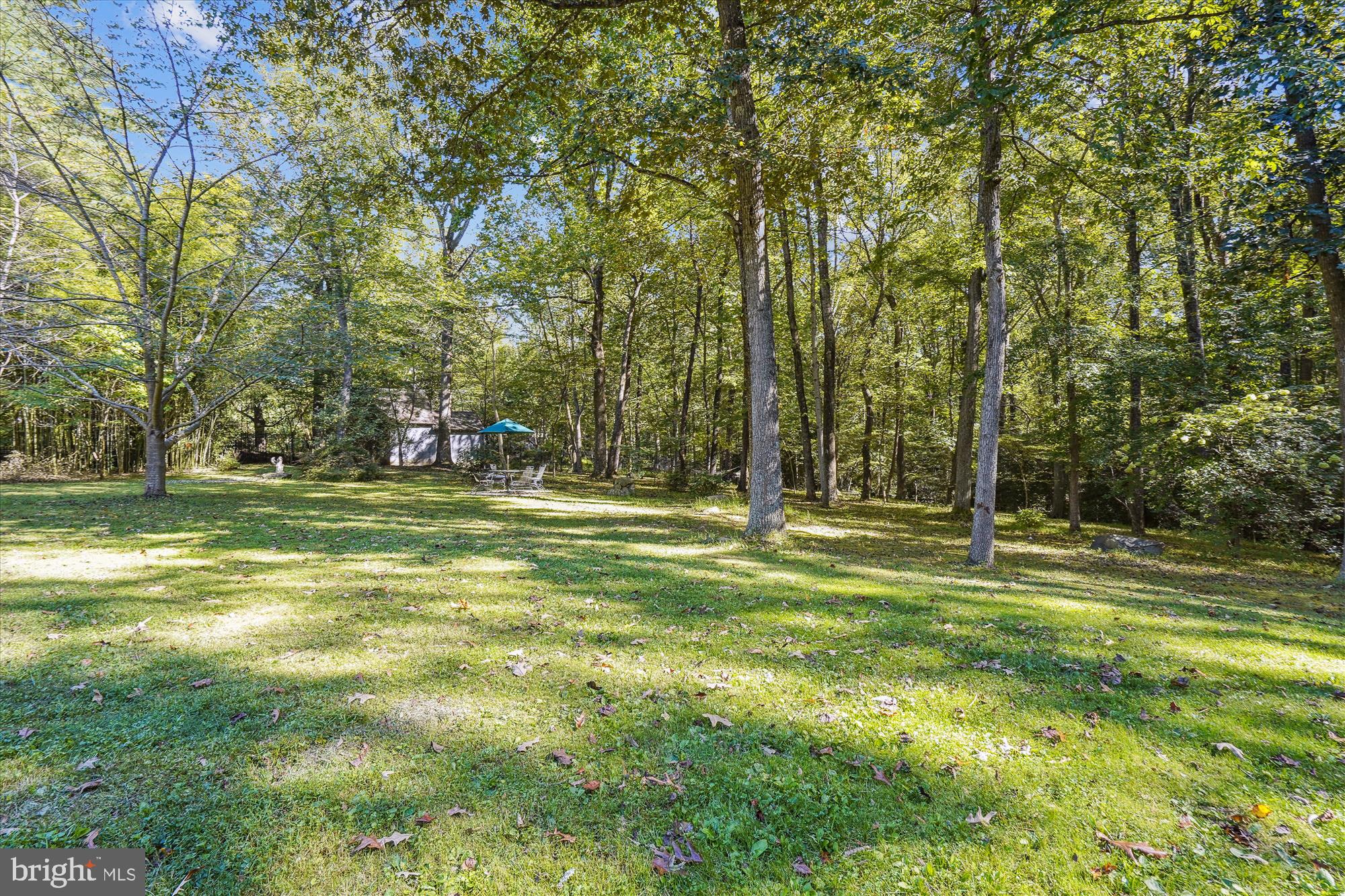 10889 Woodleaf Ln