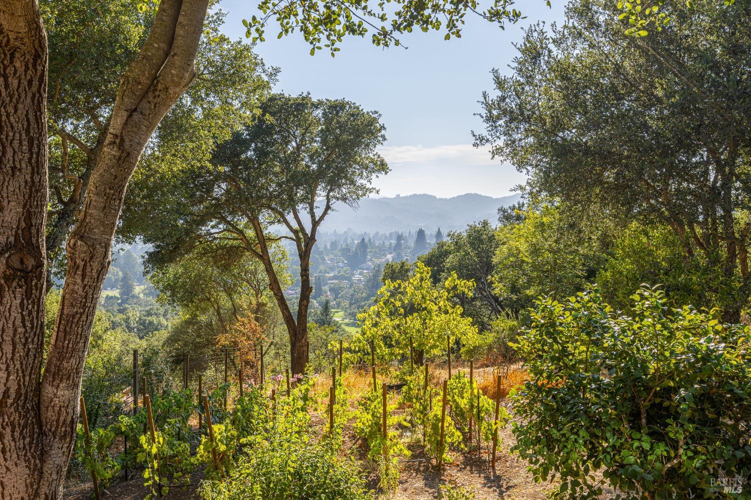 Quintessential Healdsburg Cottage