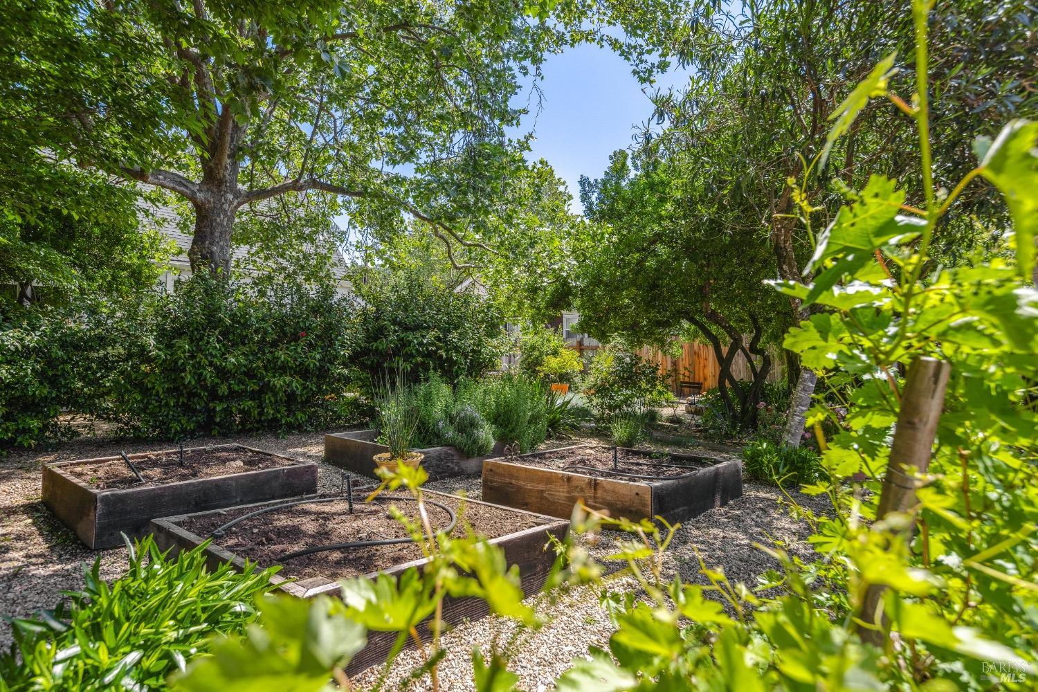 Quintessential Healdsburg Cottage