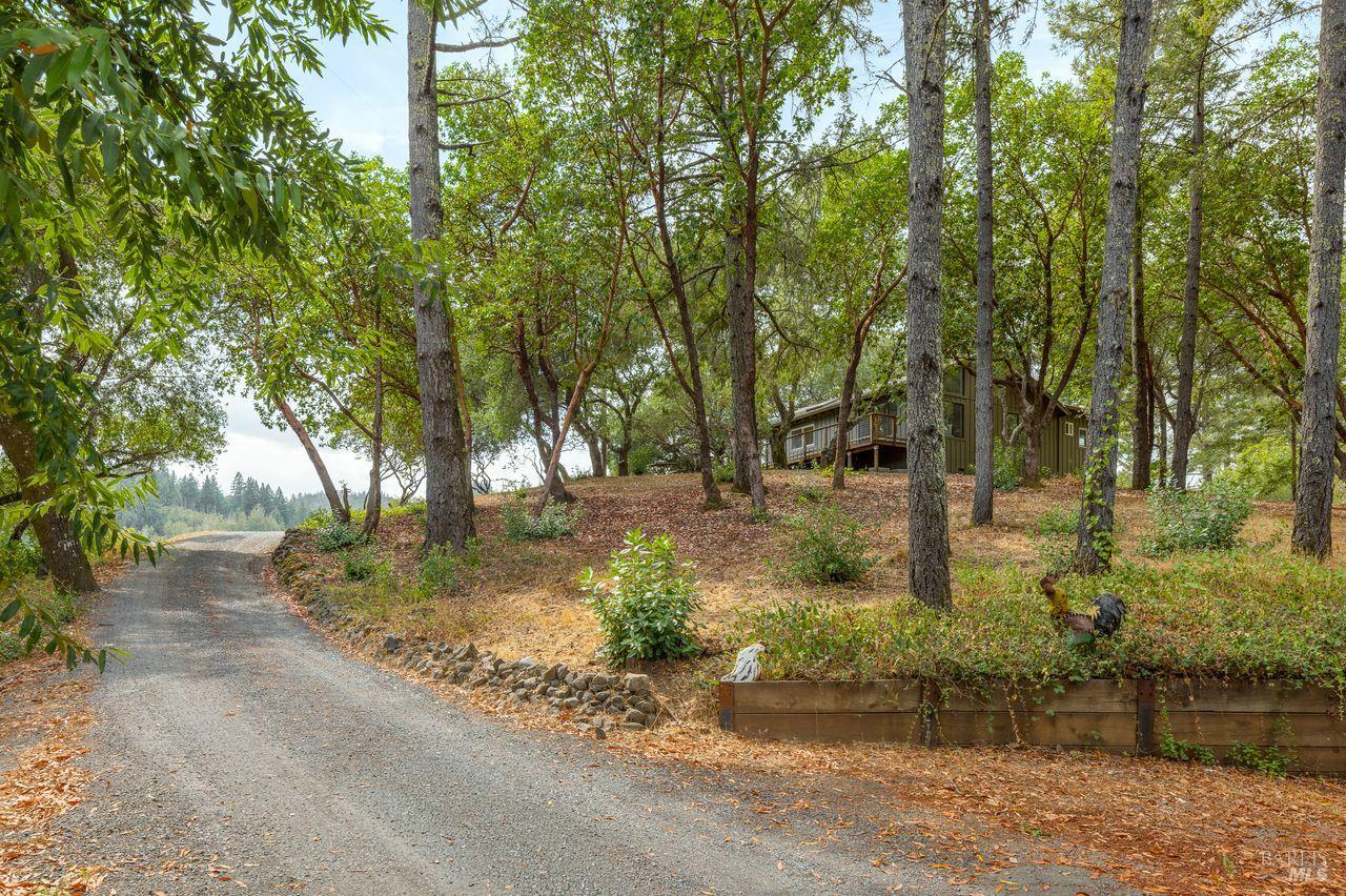 1988 Jameson Rd
