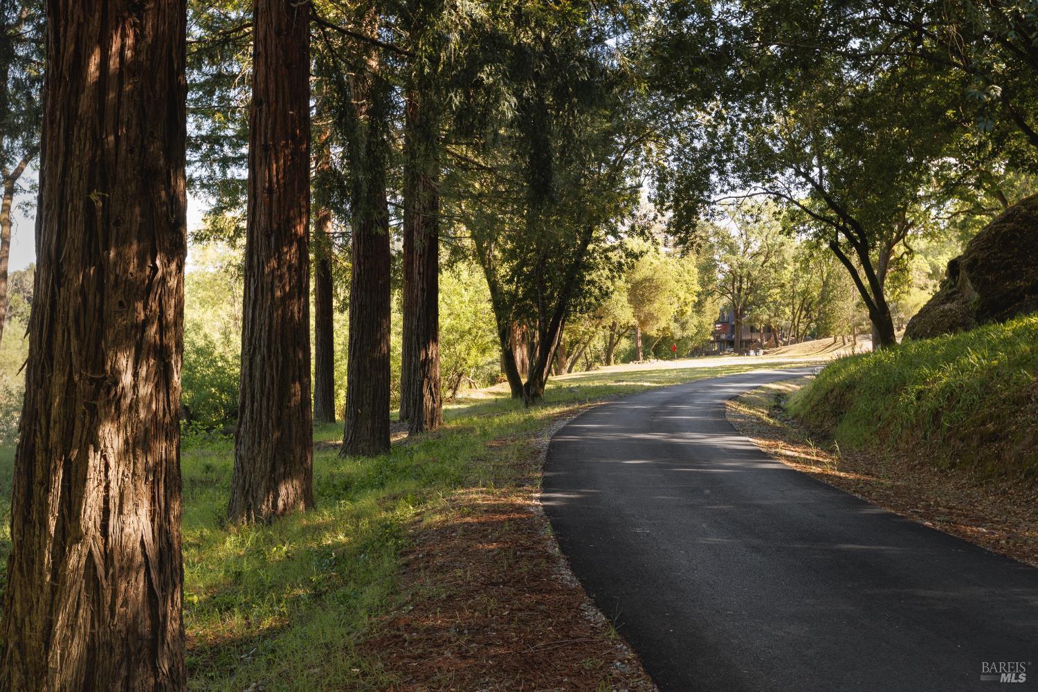 Healdsburg Riverfront Estate
