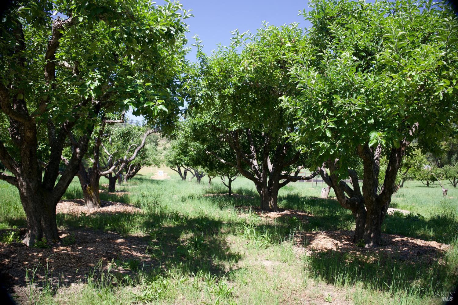 Healdsburg Riverfront Estate