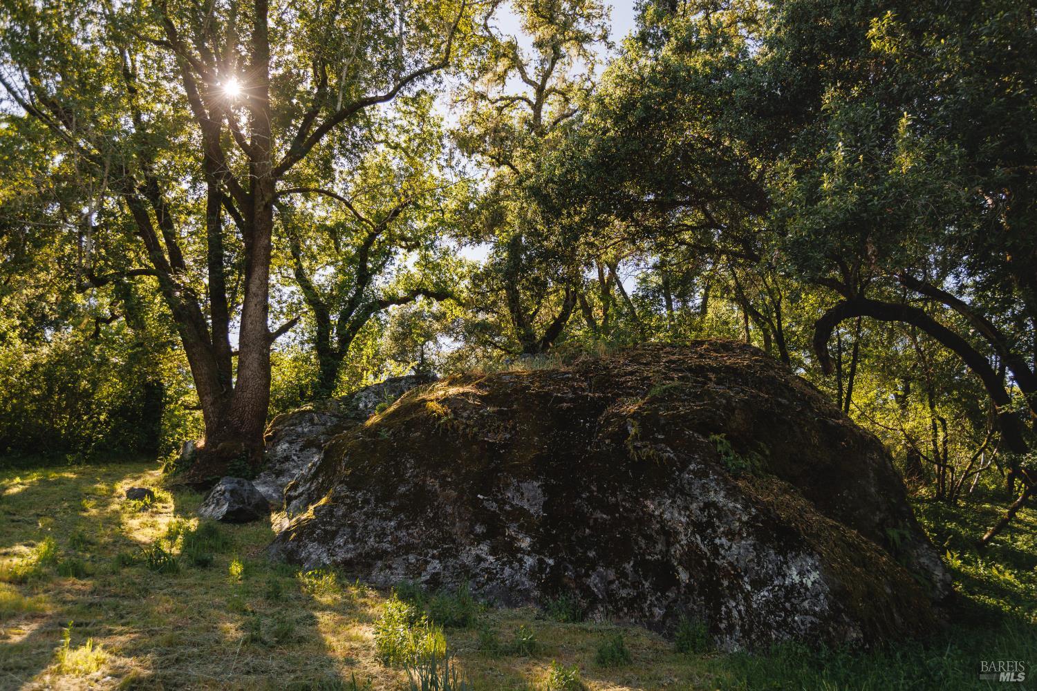 Healdsburg Riverfront Estate