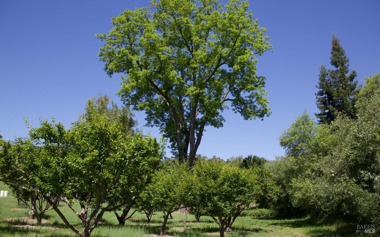 Healdsburg Riverfront Estate