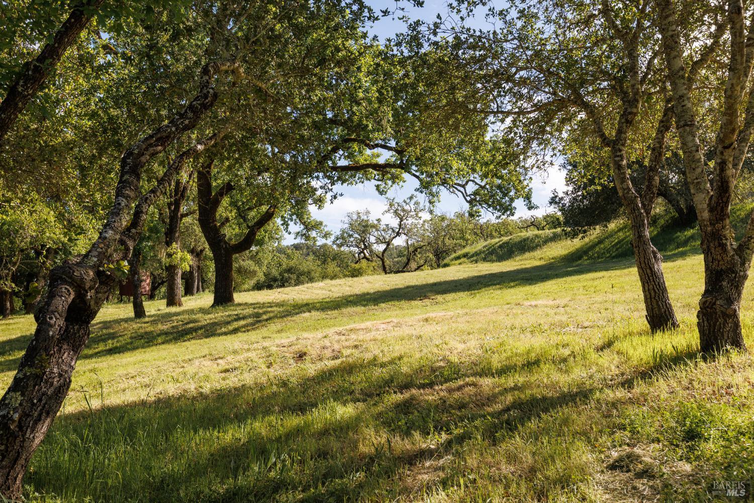 Healdsburg Riverfront Estate