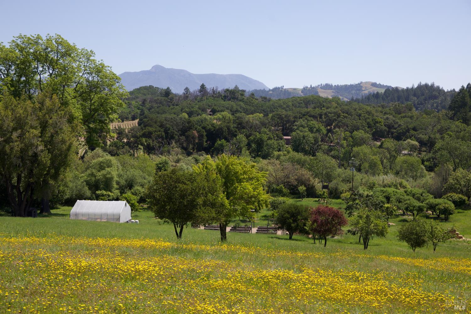 Healdsburg Riverfront Estate