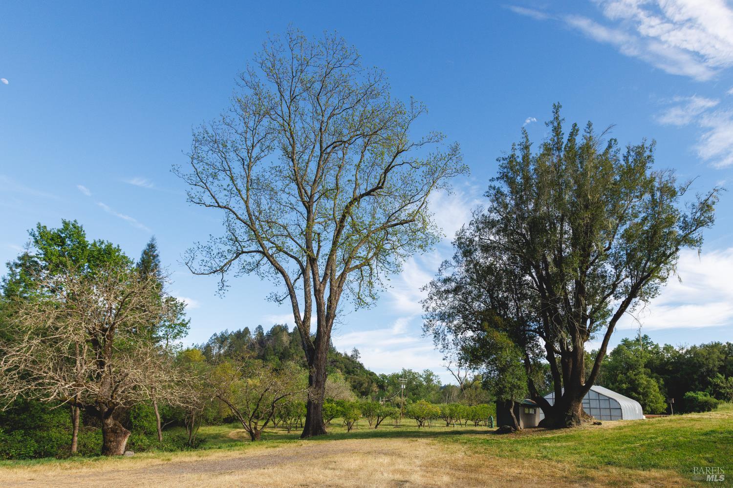 Healdsburg Riverfront Estate