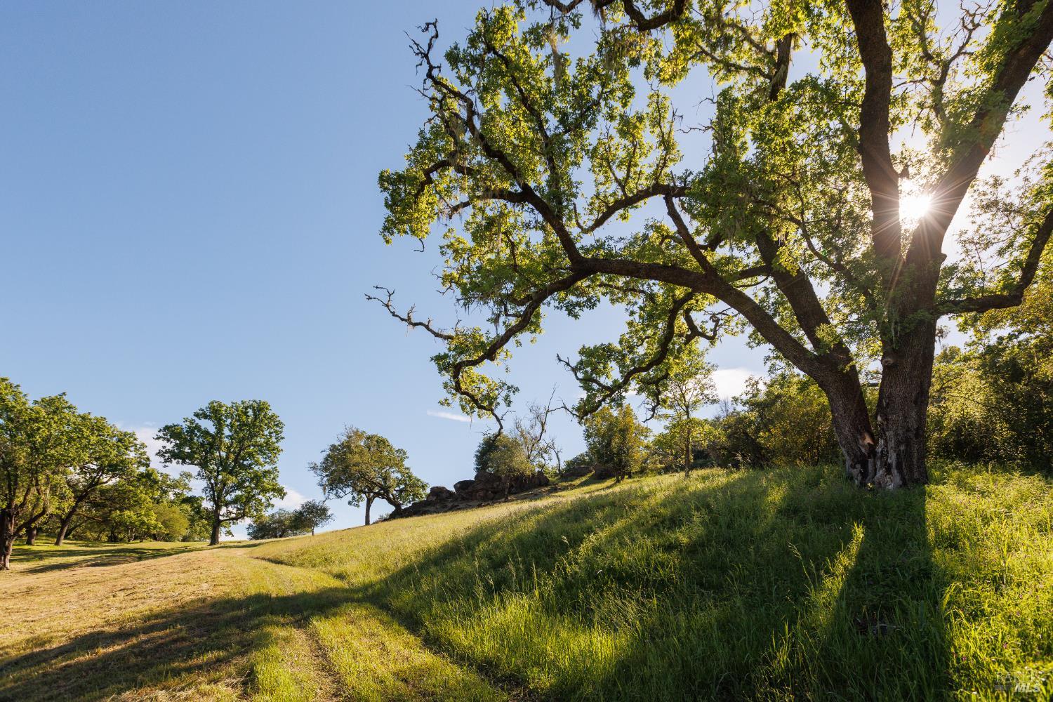 Healdsburg Riverfront Estate