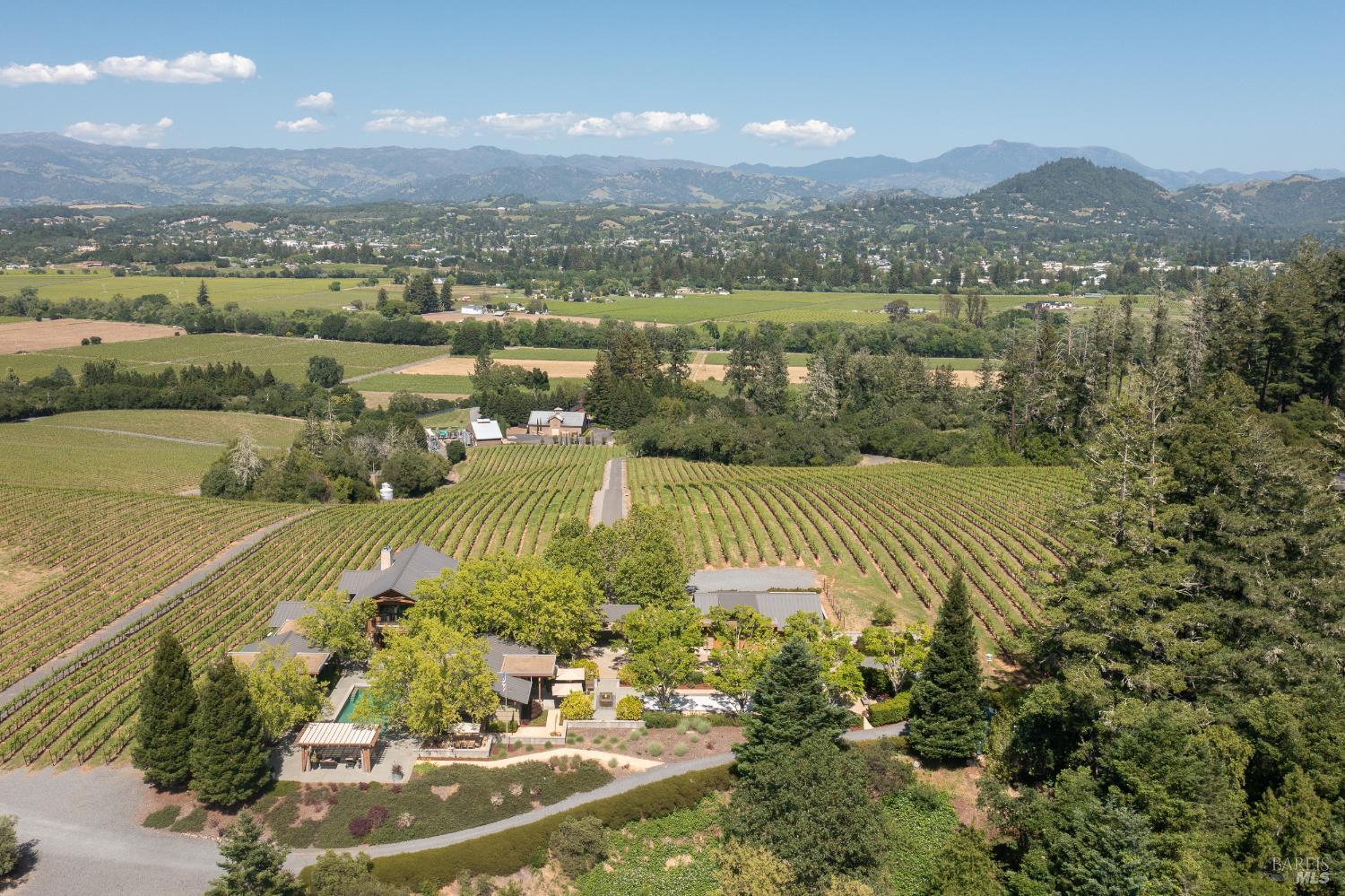 Dry Creek Valley Architectural Estate 