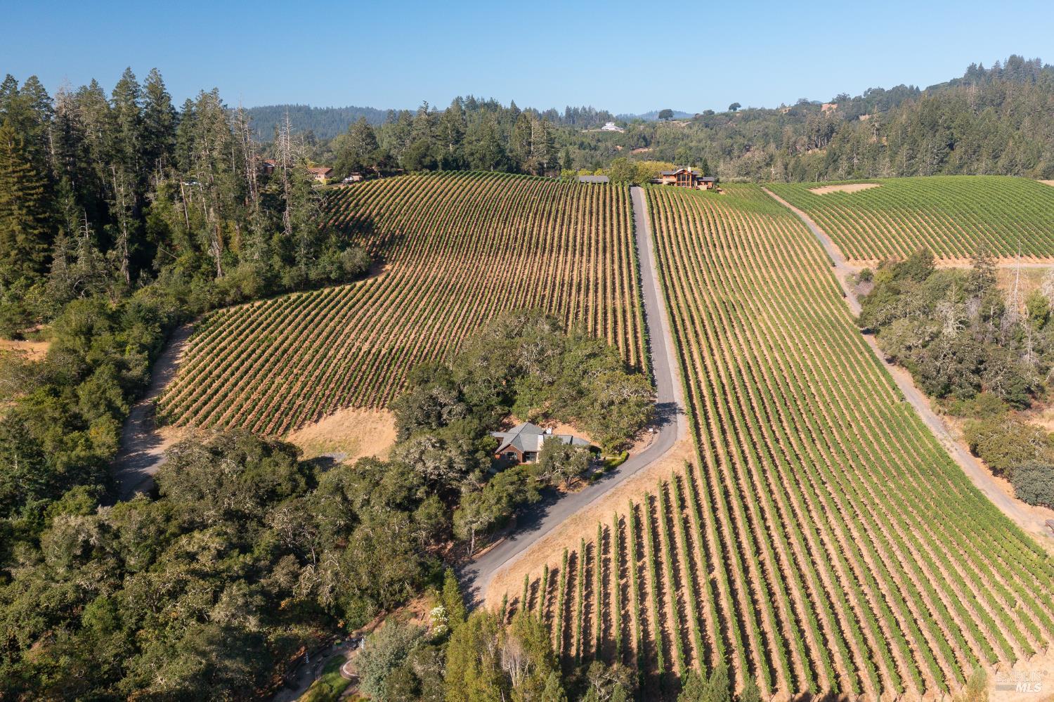Dry Creek Valley Architectural Estate 