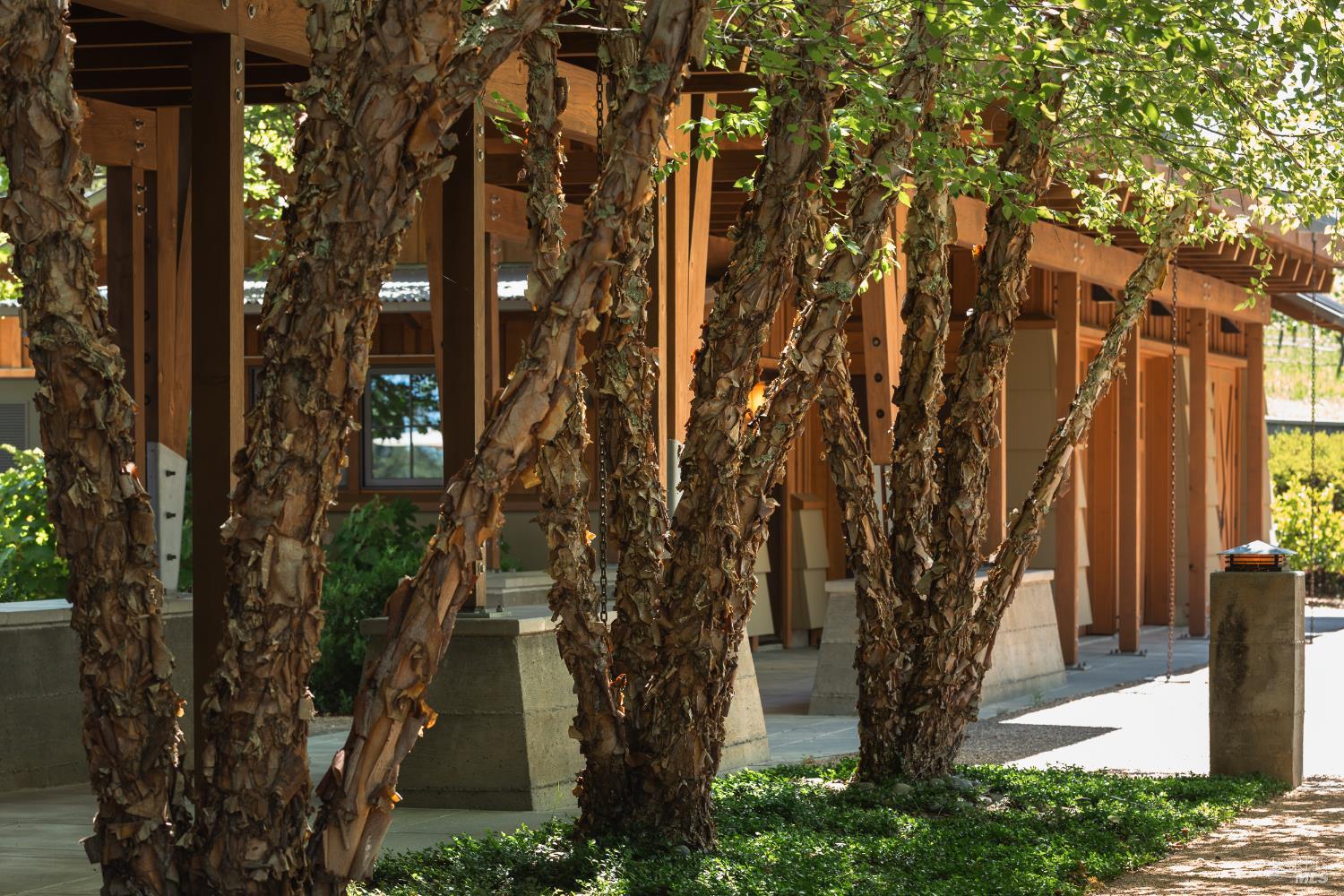 Dry Creek Valley Architectural Estate 