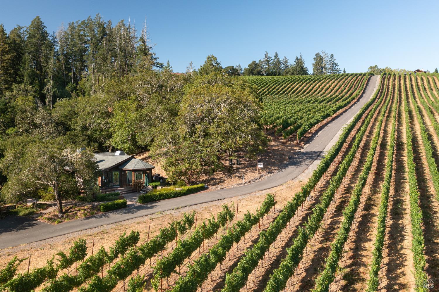 Dry Creek Valley Architectural Estate 