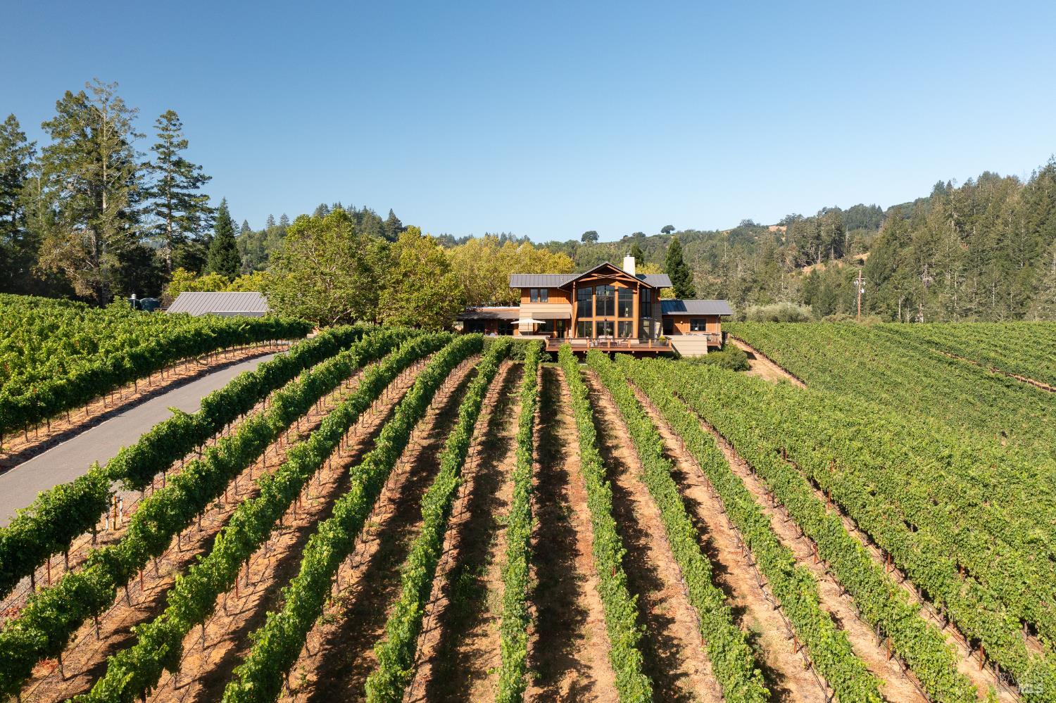 Dry Creek Valley Architectural Estate 