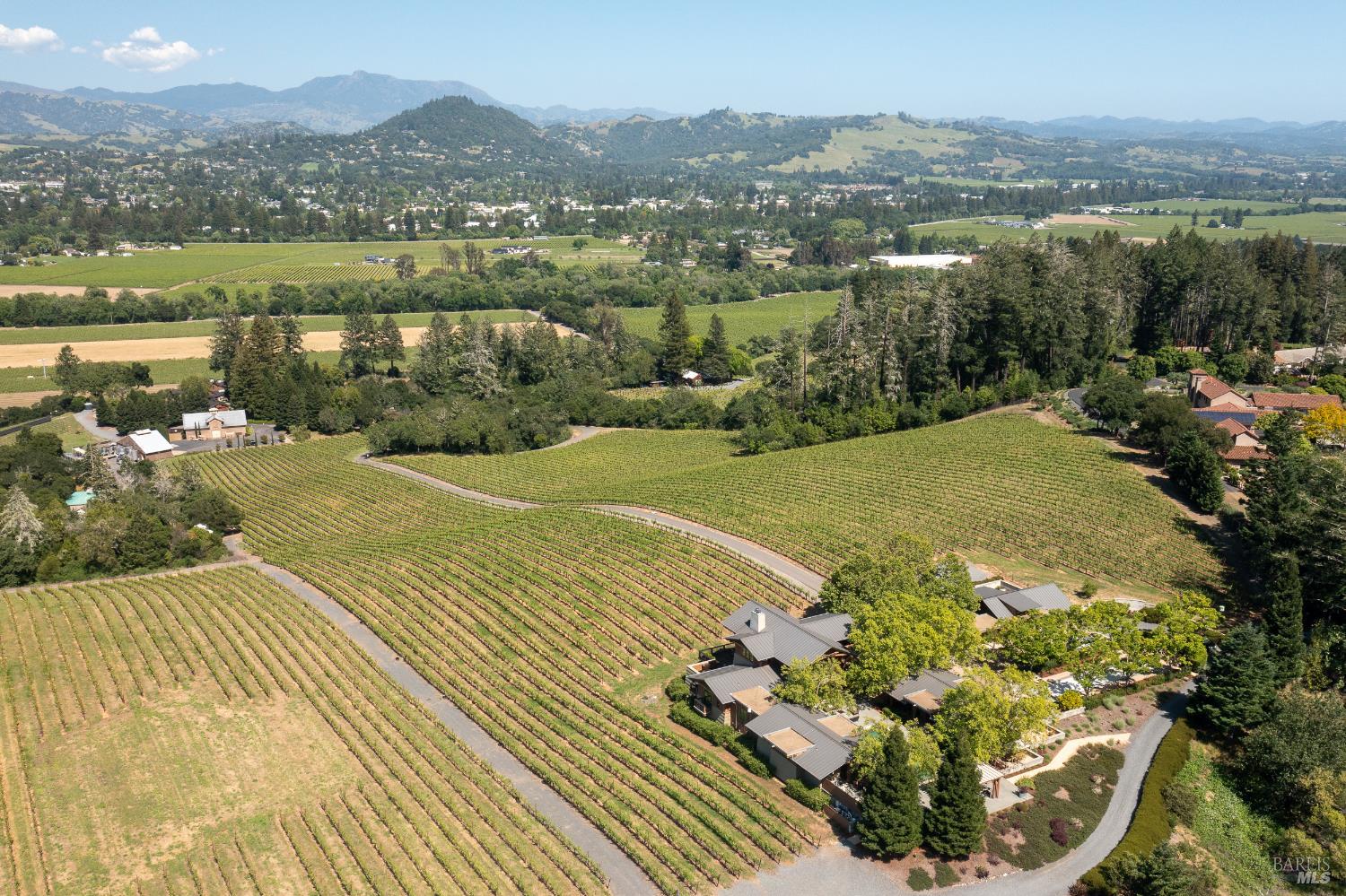 Dry Creek Valley Architectural Estate 