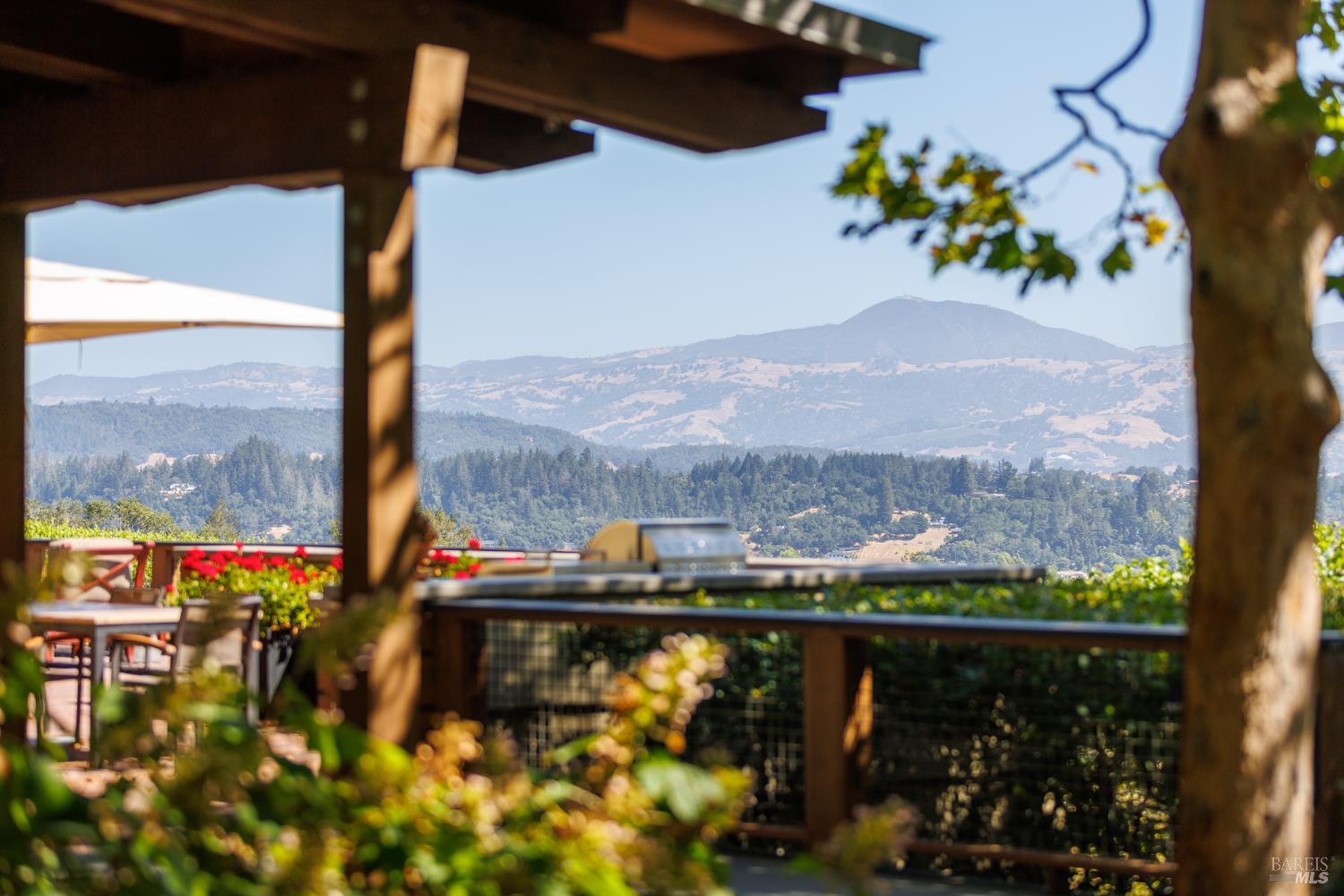 Dry Creek Valley Architectural Estate 