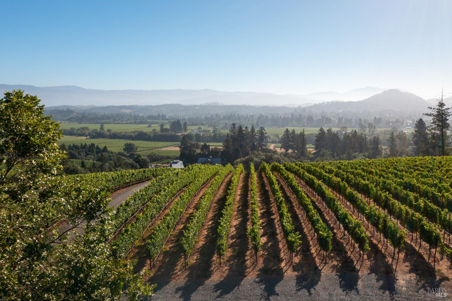 Dry Creek Valley Architectural Estate 