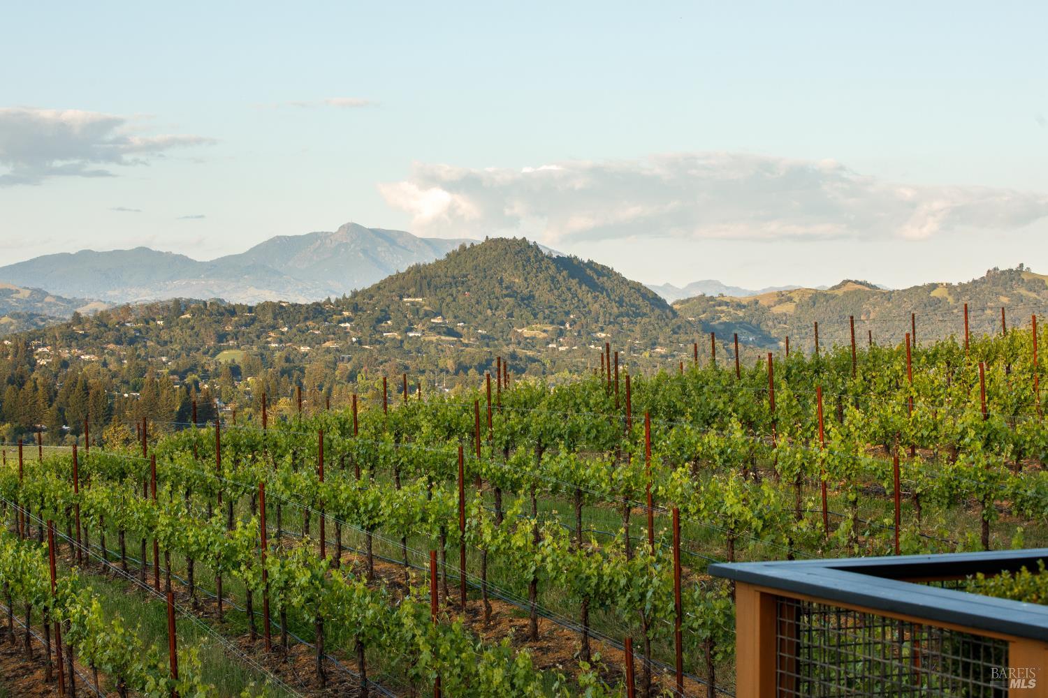 Dry Creek Valley Architectural Estate 