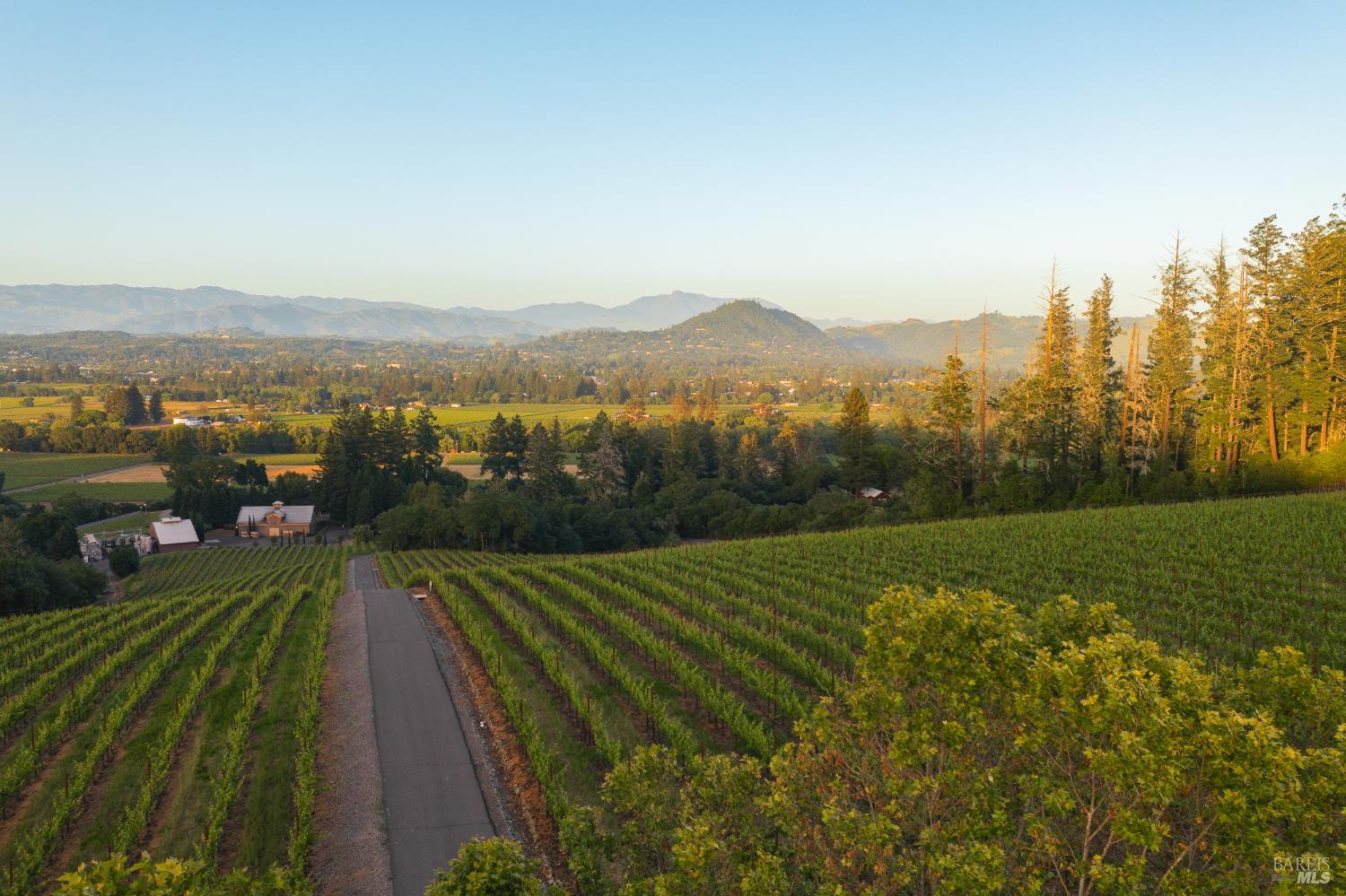 Dry Creek Valley Architectural Estate 