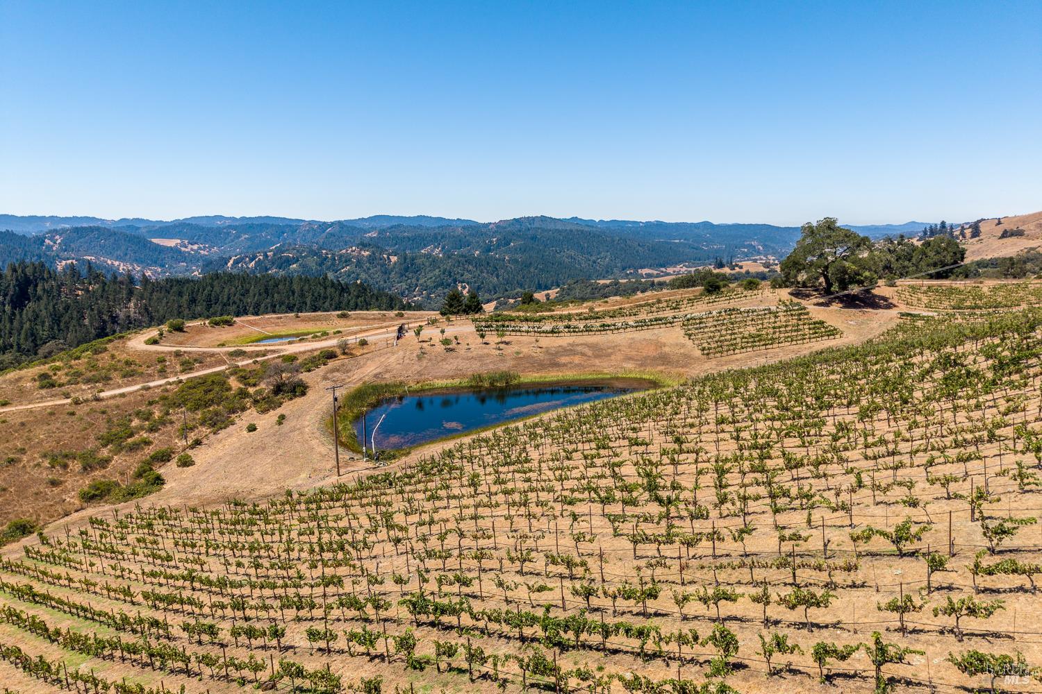 18115 Highlands Ridge Road
