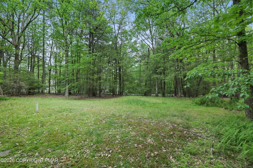 1585 Starry Lane